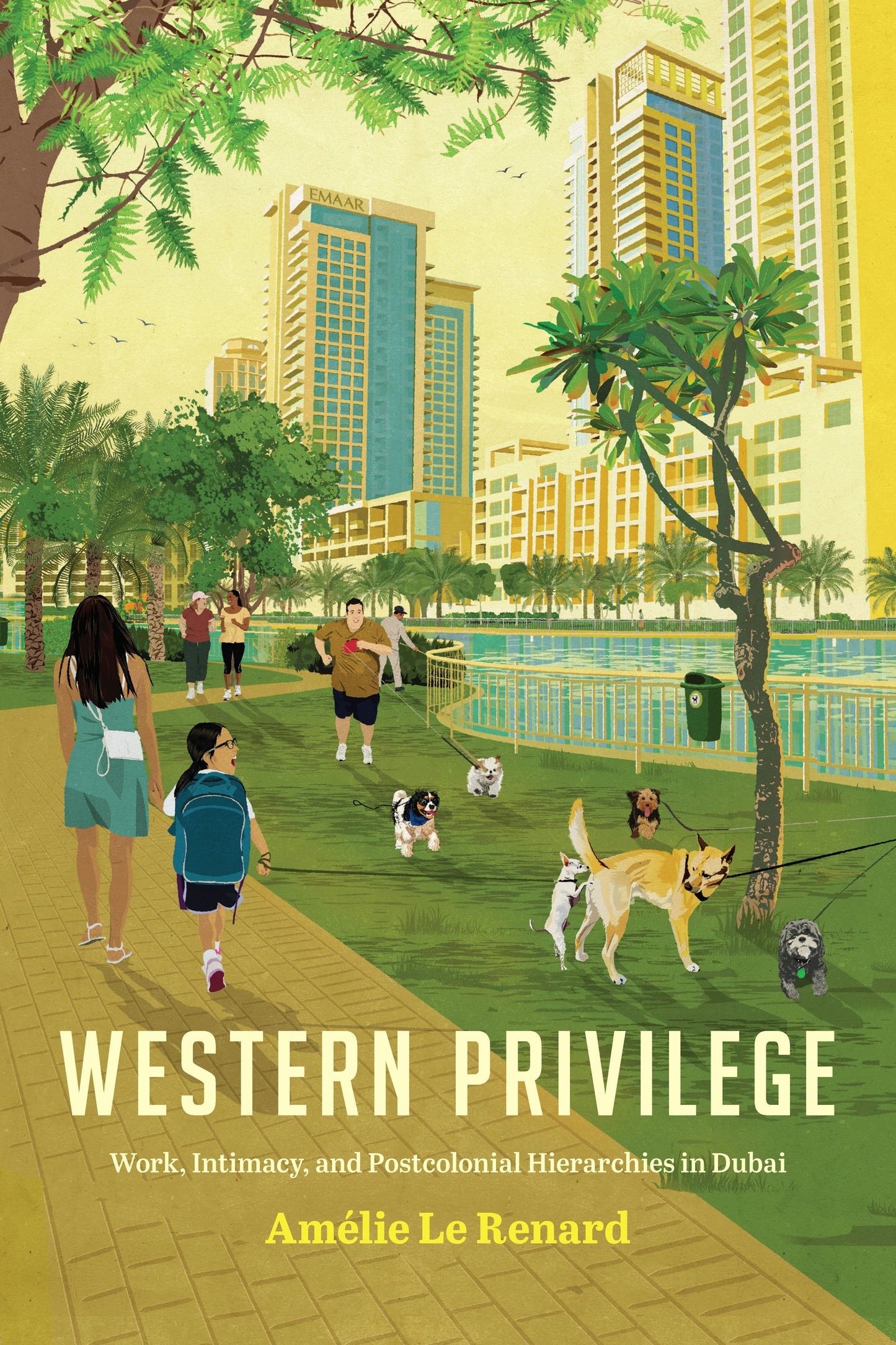 Book cover image for Western Privilege ISBN: 9781503629233
