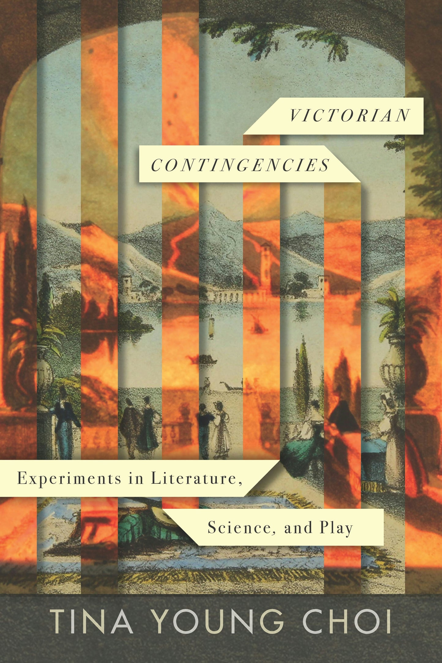 Book cover image for Victorian Contingencies ISBN: 9781503629288