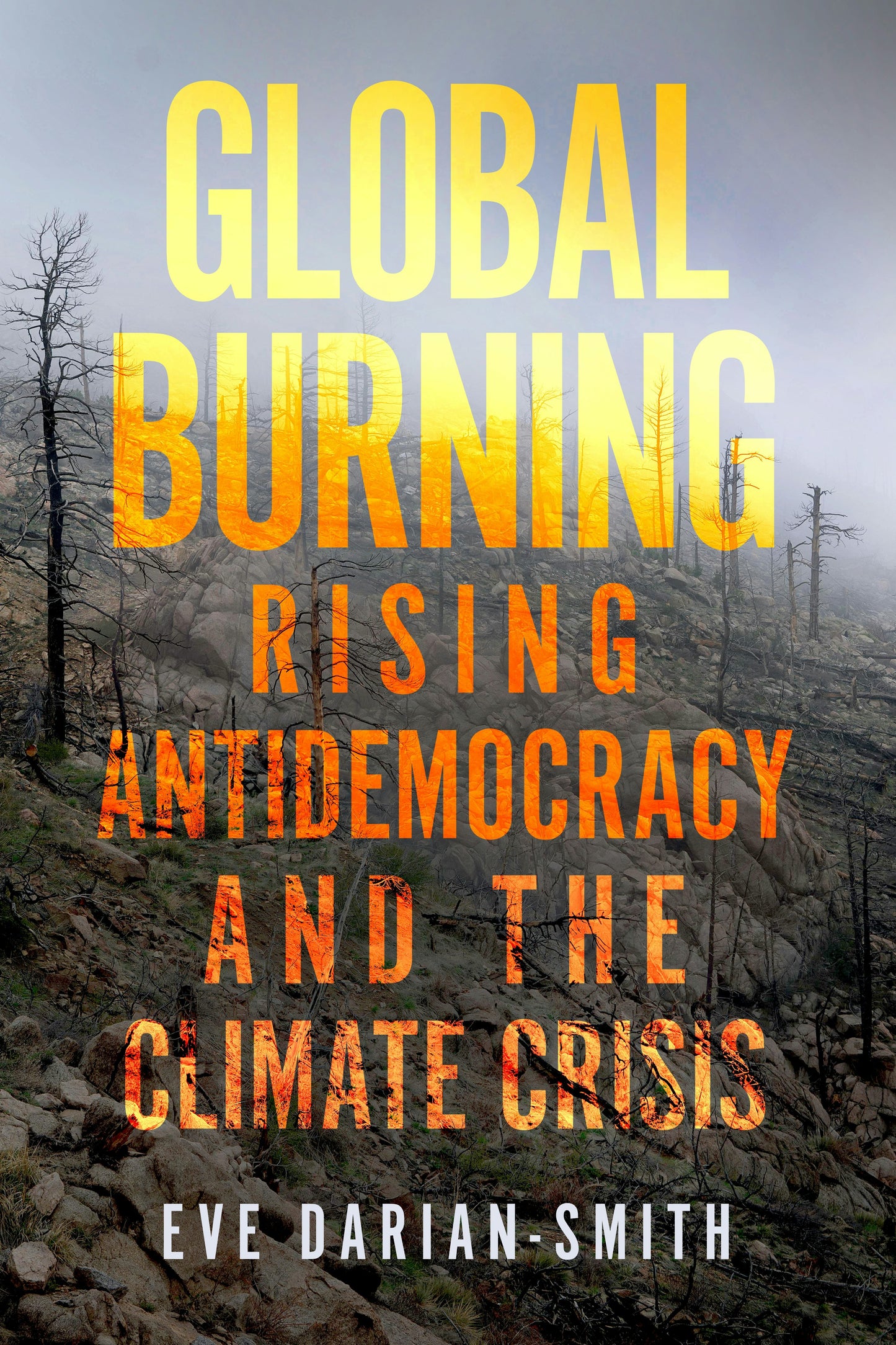 Book cover image for Global Burning ISBN: 9781503631083