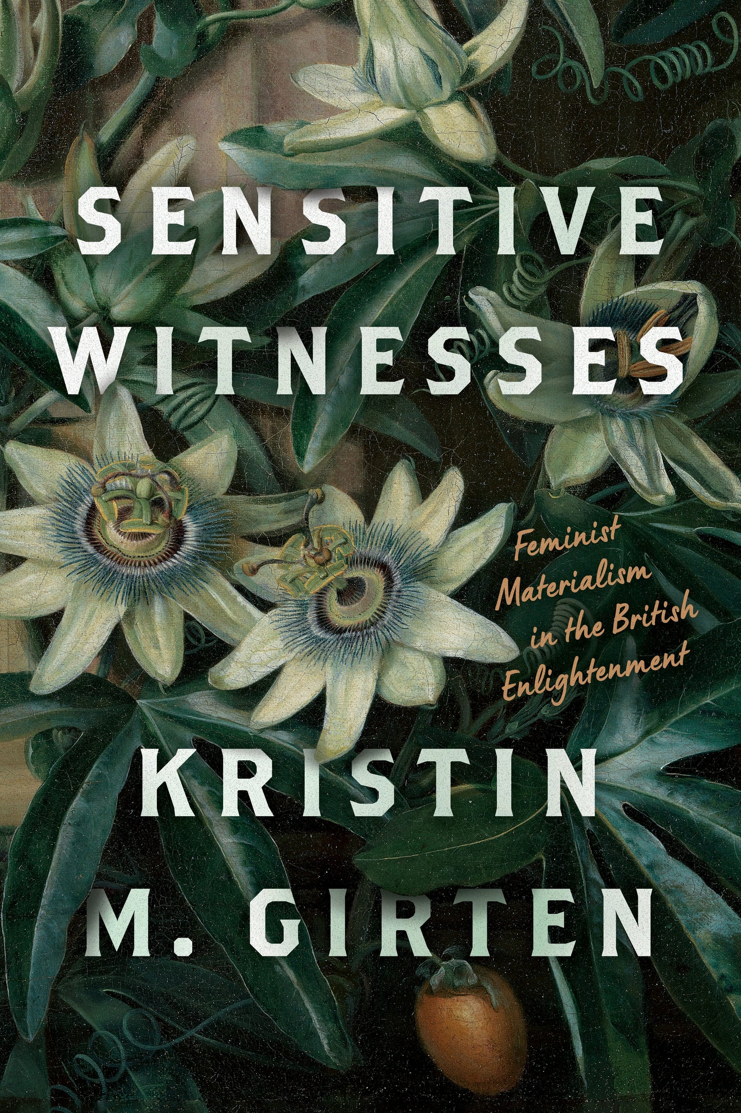 Book cover image for Sensitive Witnesses ISBN: 9781503633032