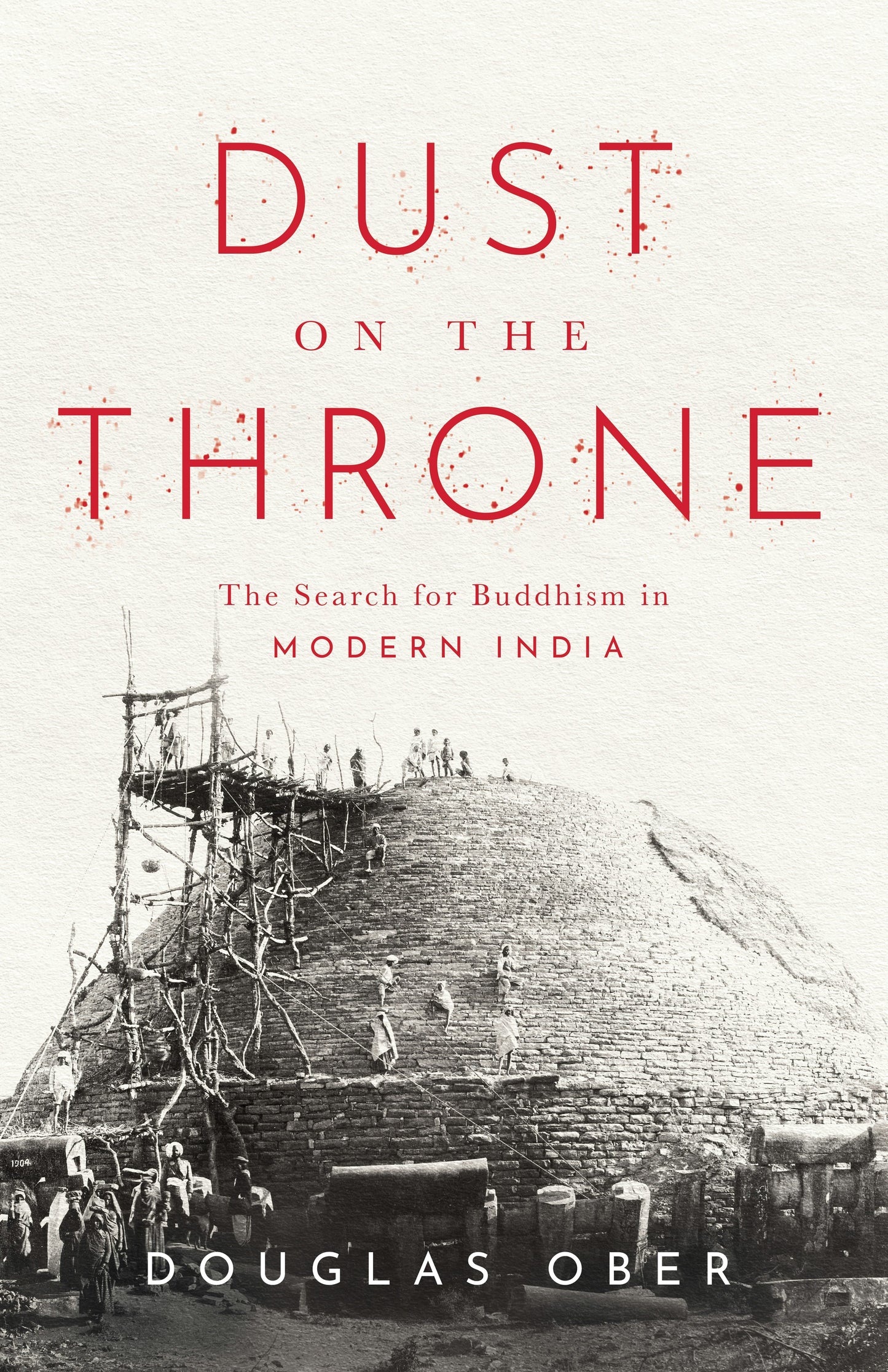 Book cover image for Dust on the Throne ISBN: 9781503635036