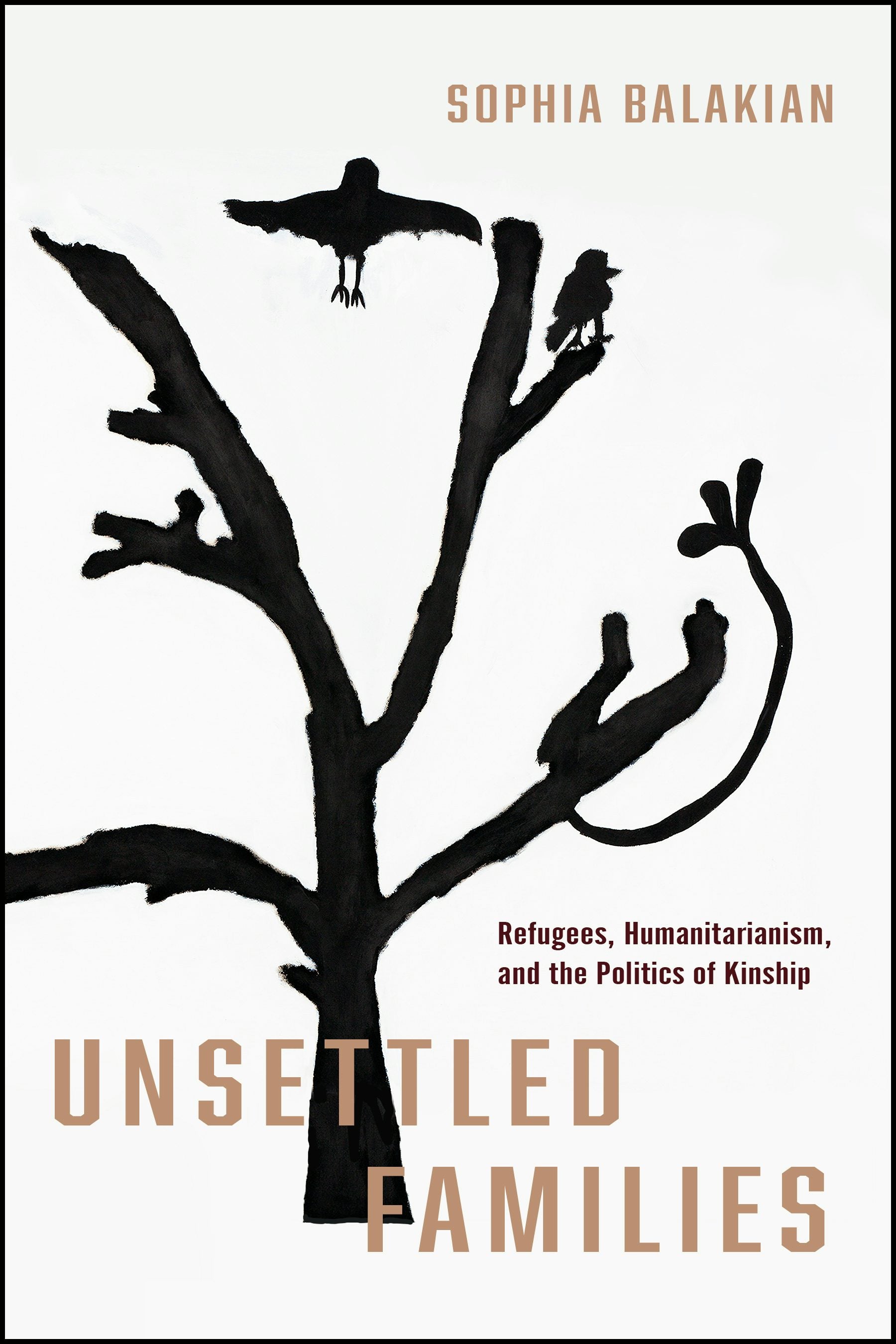 Book cover image for Unsettled Families ISBN: 9781503641198