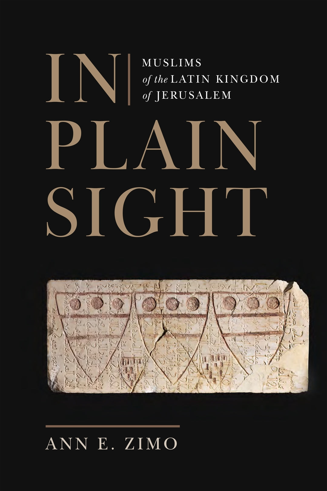 Cover image for In Plain Sight ISBN 9781512826463