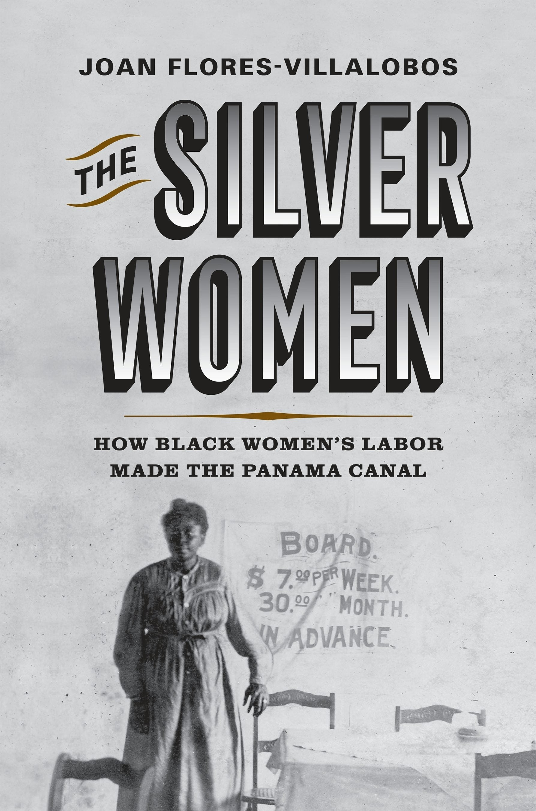 Book cover image for The Silver Women ISBN: 9781512828757