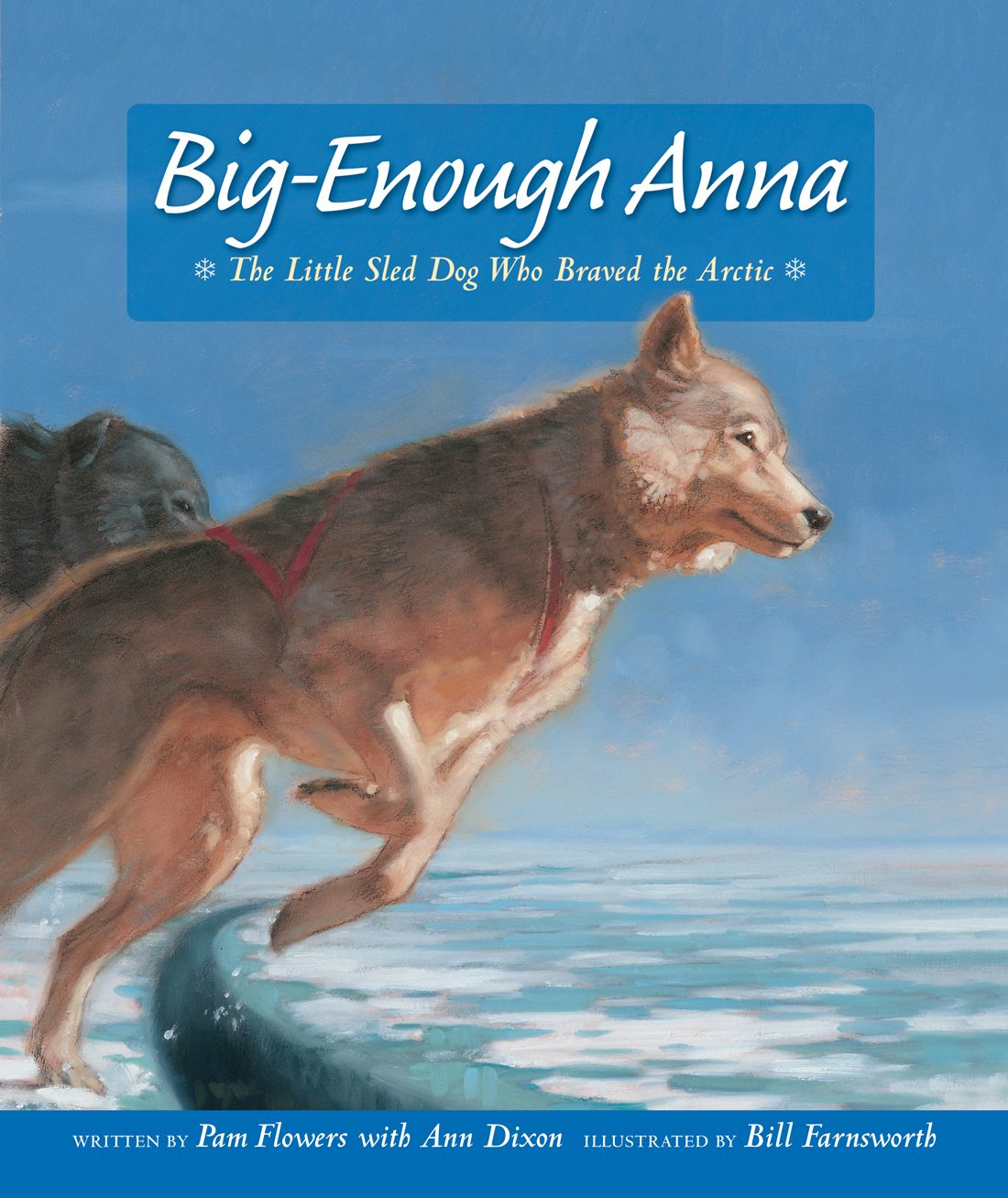 Book cover image for Big-Enough Anna ISBN: 9781513141756
