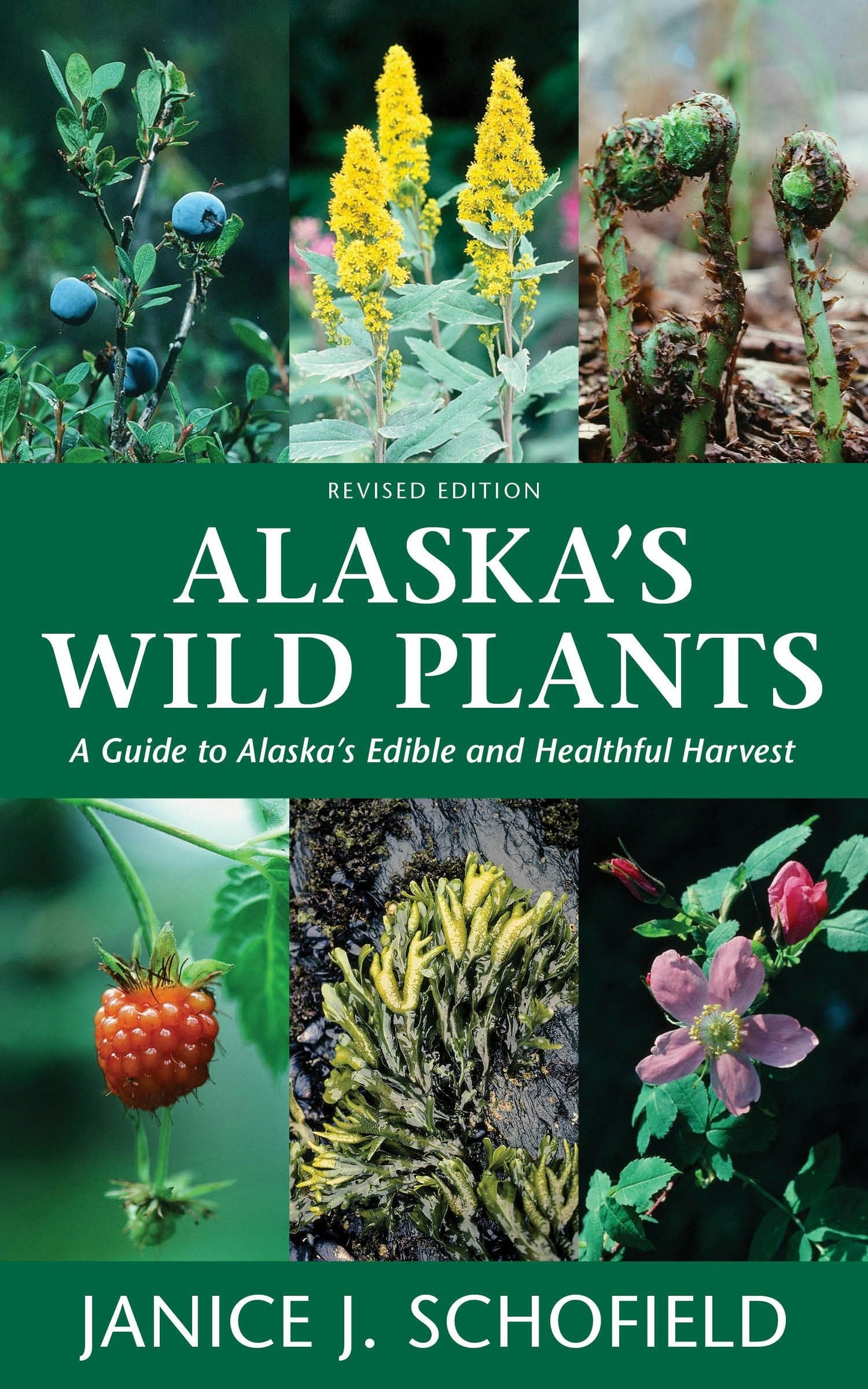 Book cover image for Alaska's Wild Plants, Revised Edition ISBN: 9781513262796