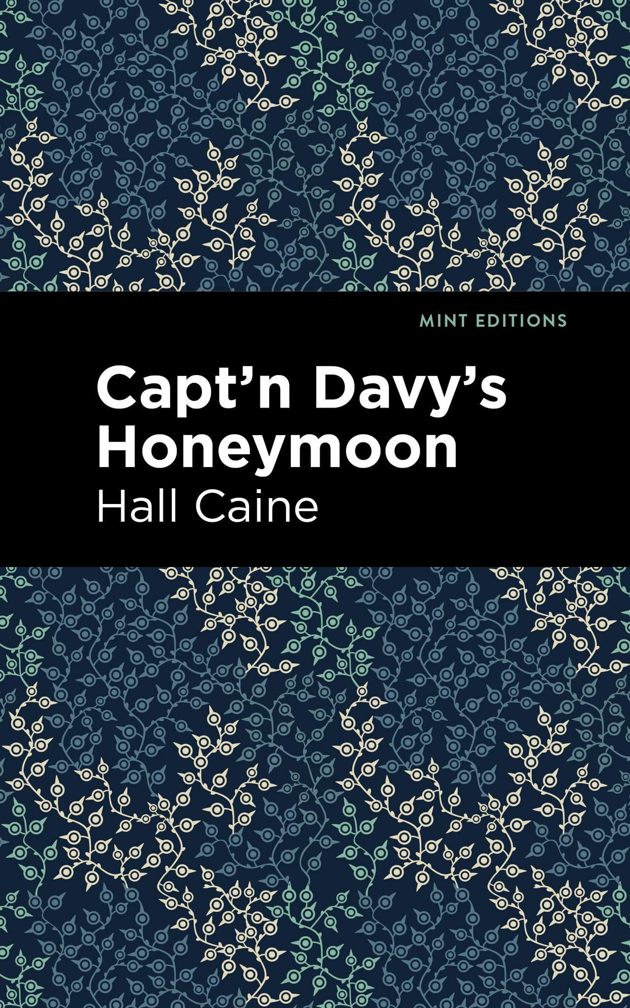Cover image for Capt'n Davy's Honeymoon ISBN 9781513267647