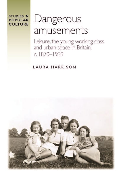 Book cover image for Dangerous amusements ISBN: 9781526147875