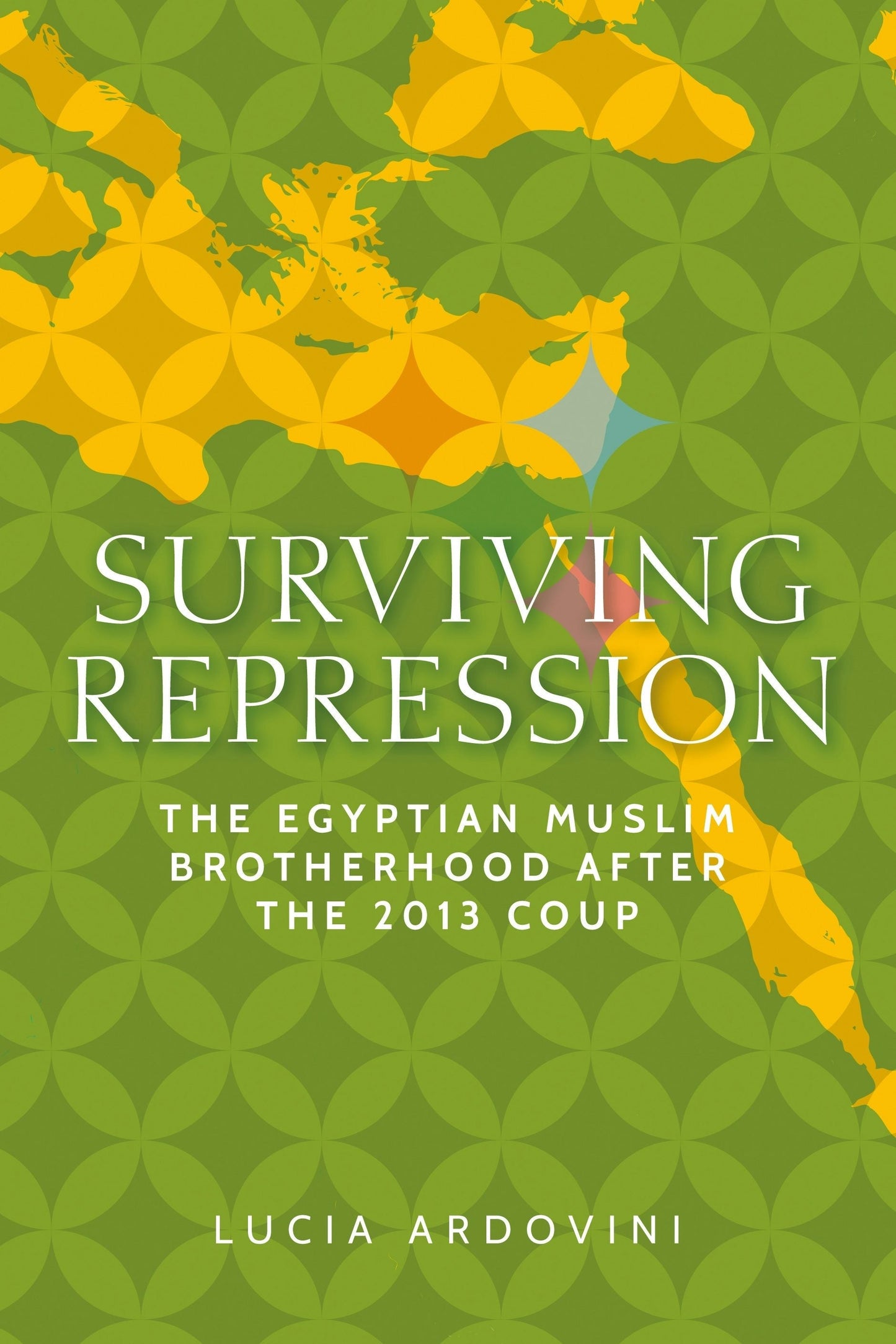 Cover image for Surviving repression ISBN 9781526195708