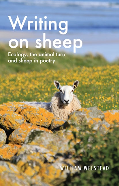 Book cover image for Writing on sheep ISBN: 9781526156570