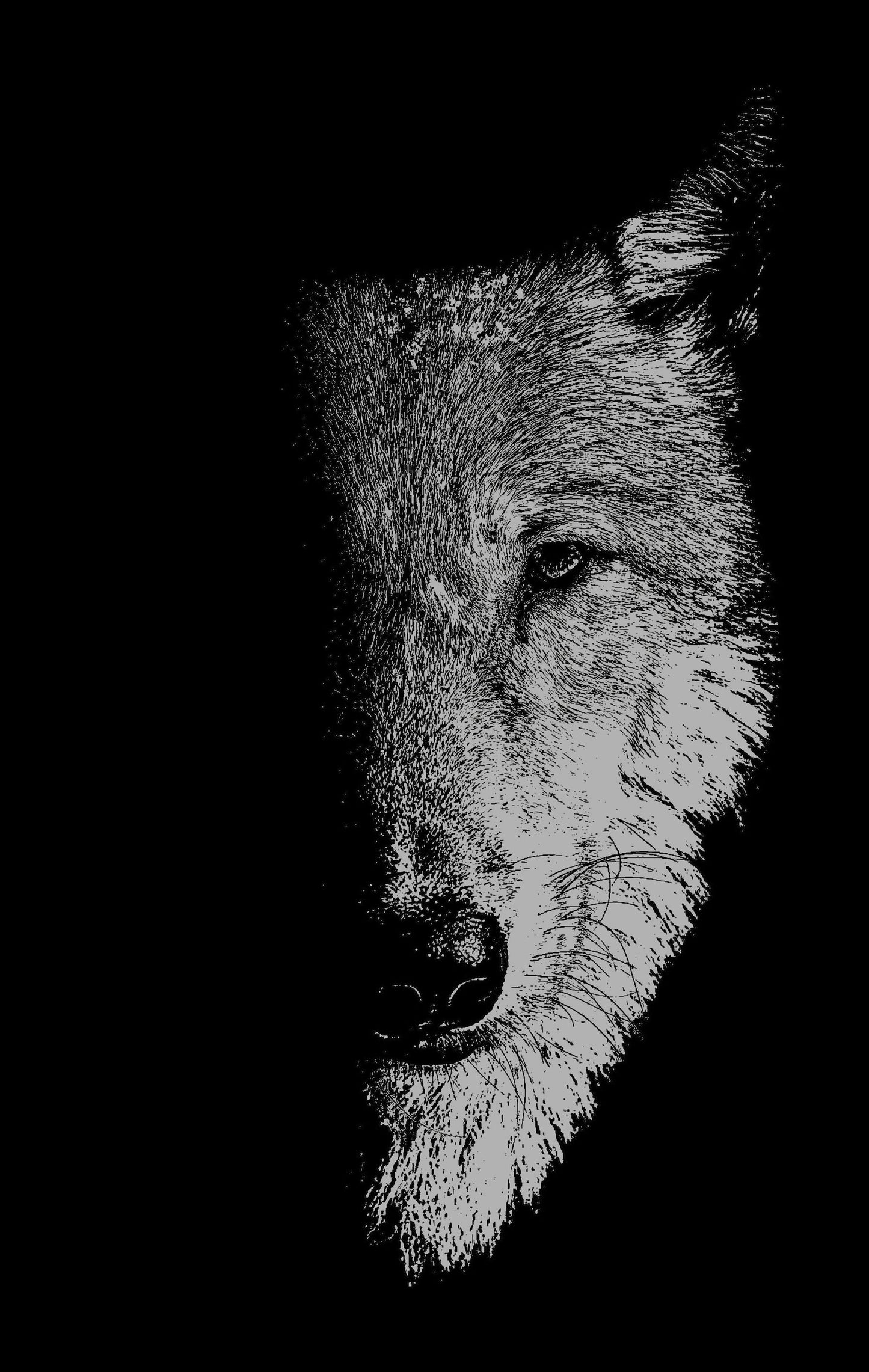 Book cover image for In the company of wolves ISBN: 9781526171979