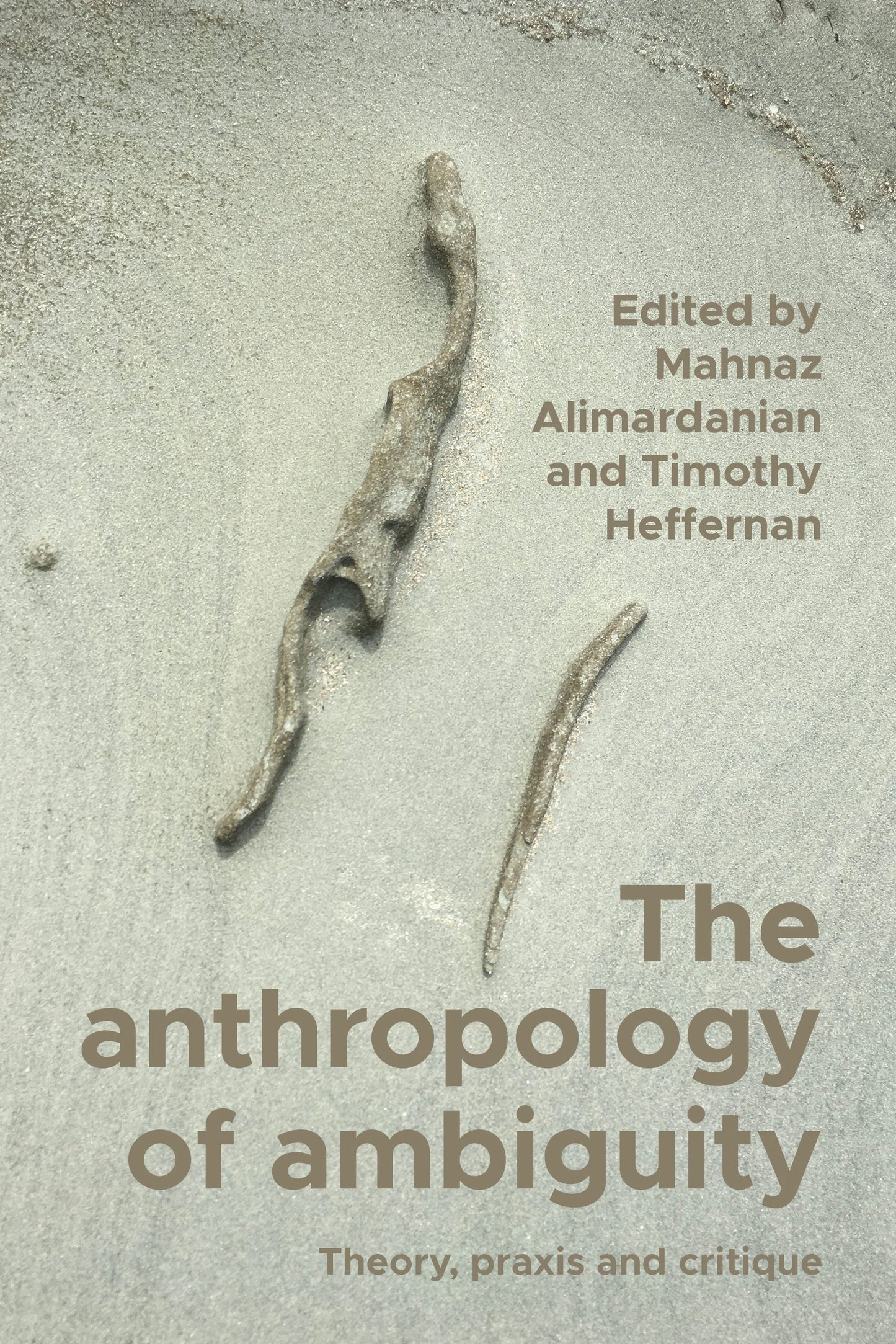 Book cover image for The anthropology of ambiguity ISBN: 9781526173843