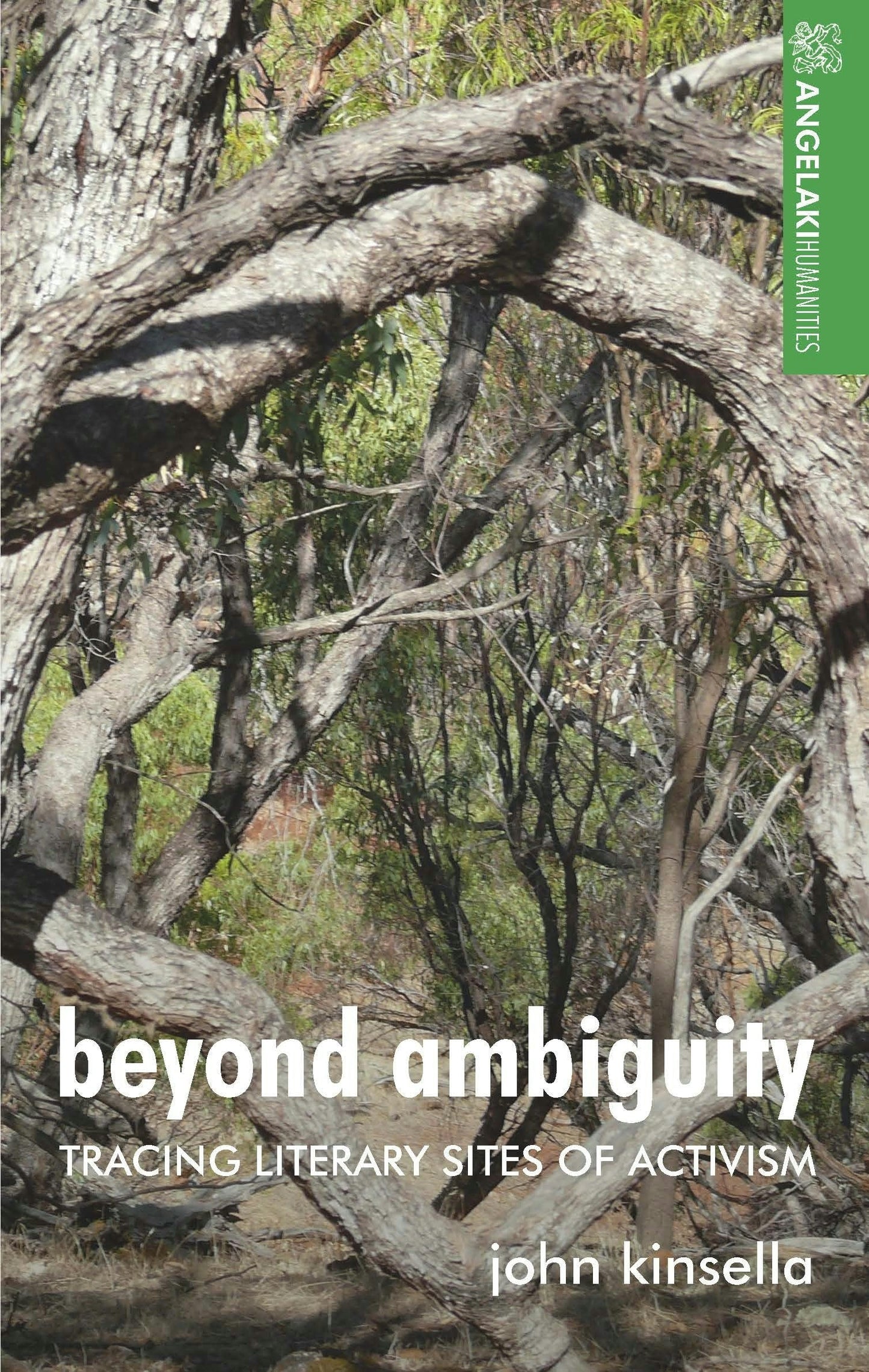 Book cover image for Beyond ambiguity ISBN: 9781526191212