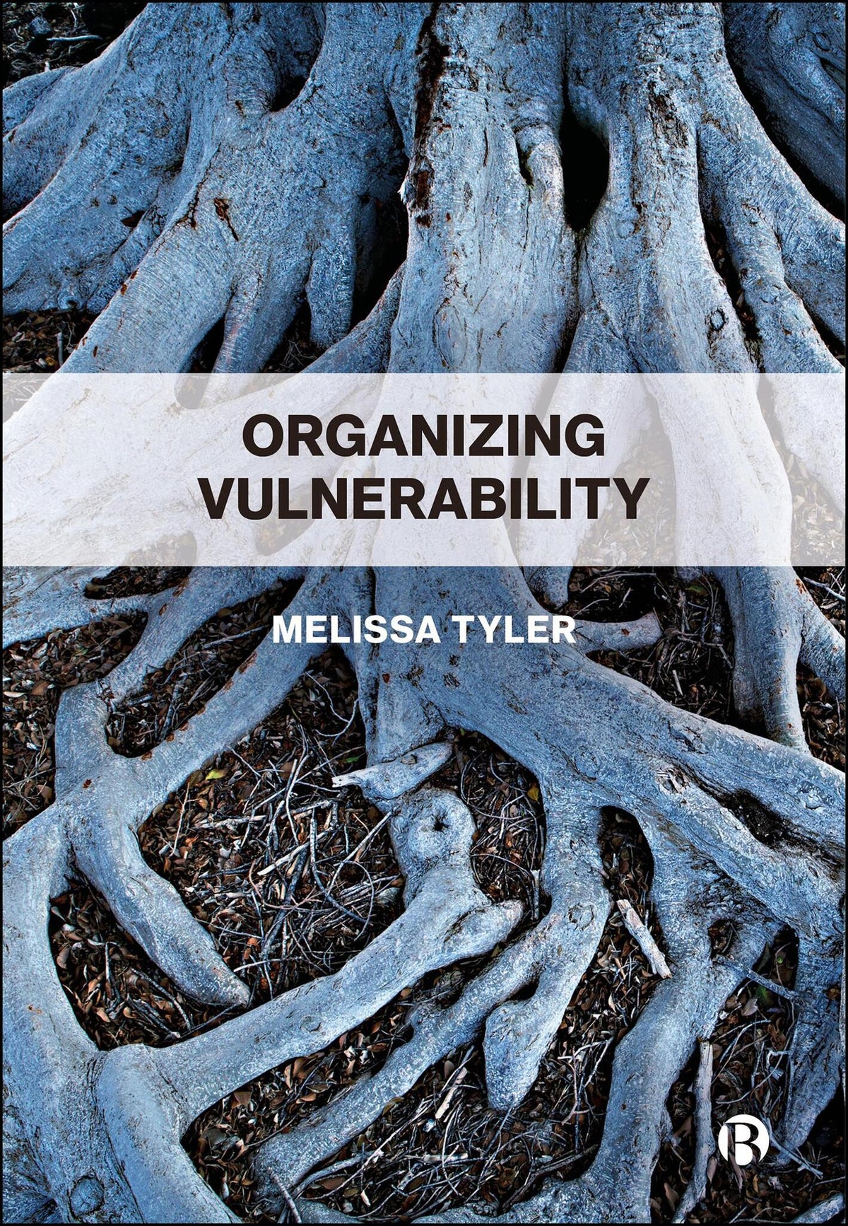 Cover image for Organizing Vulnerability ISBN 9781529238969