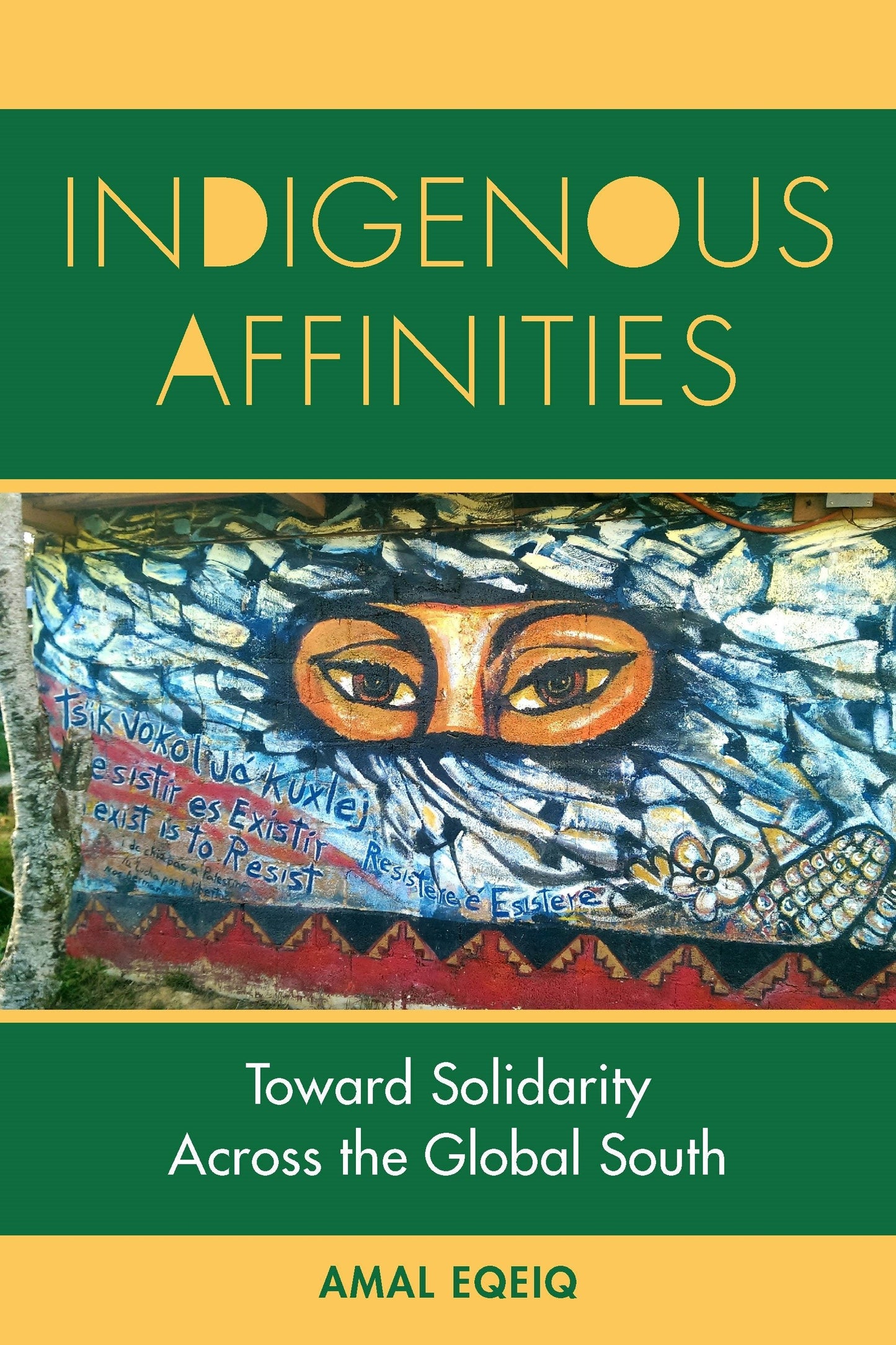 Book cover image for Indigenous Affinities ISBN: 9781531510282