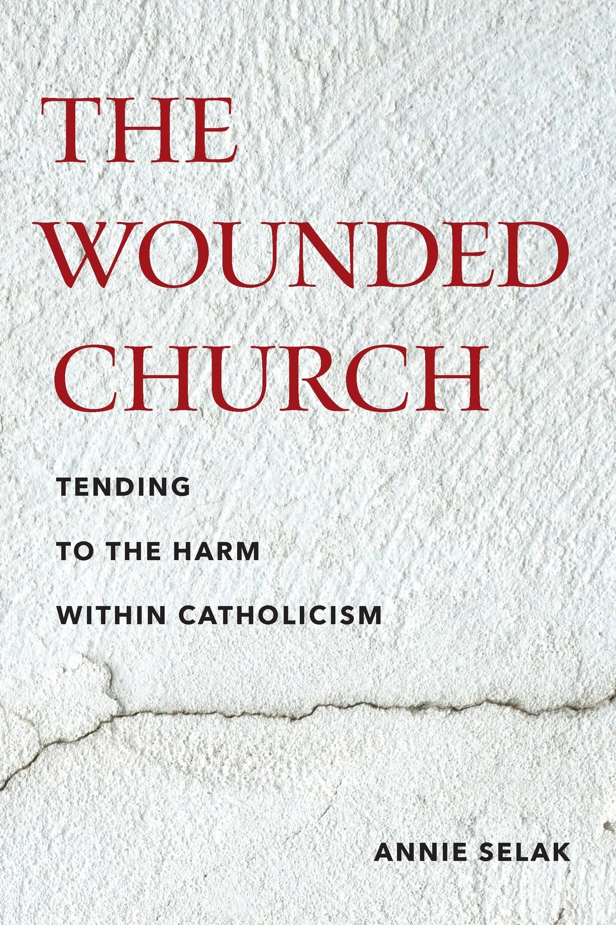 Cover image for The Wounded Church ISBN 9781531513368