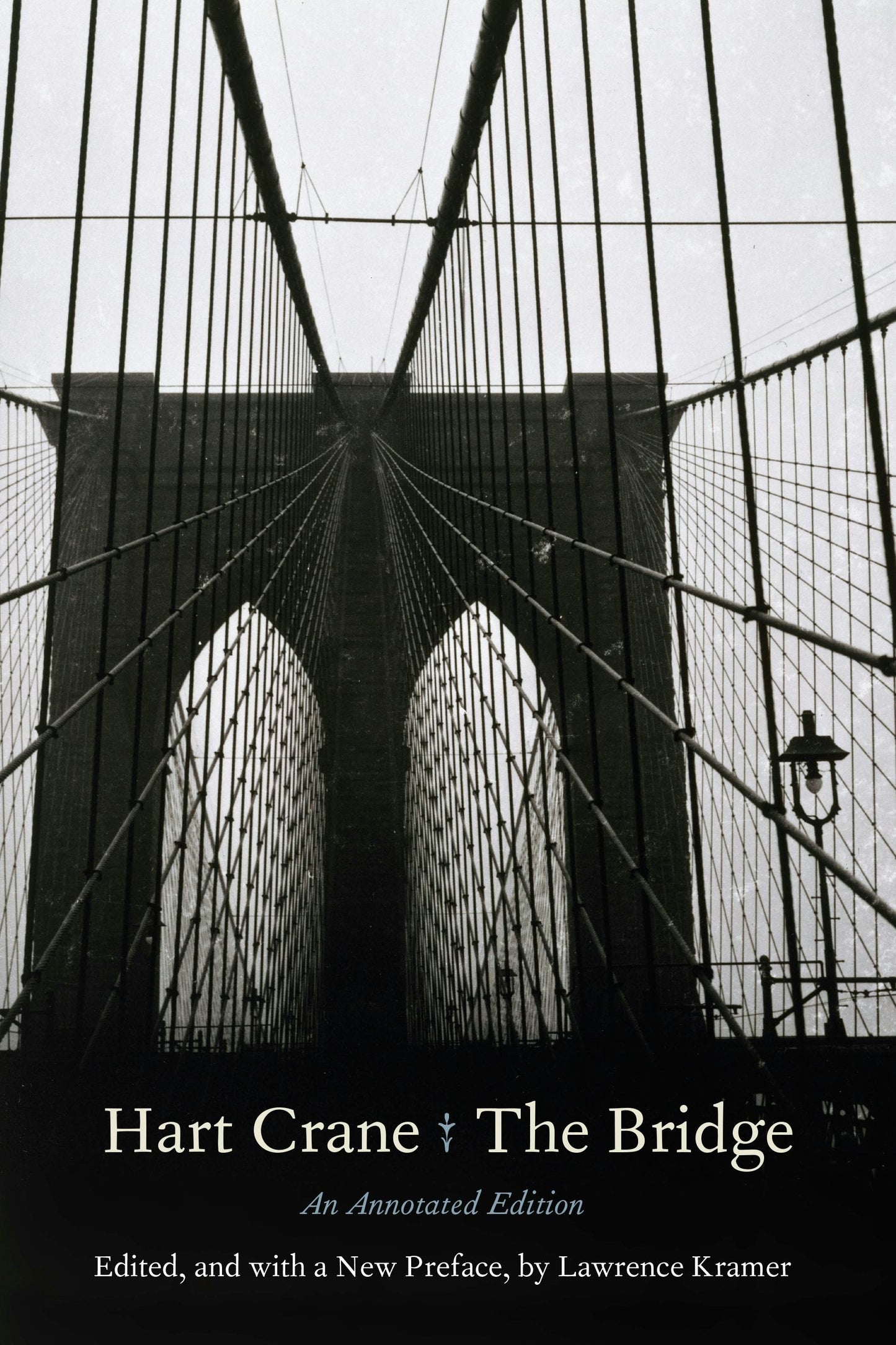 Book cover image for The Bridge ISBN: 9781531513481