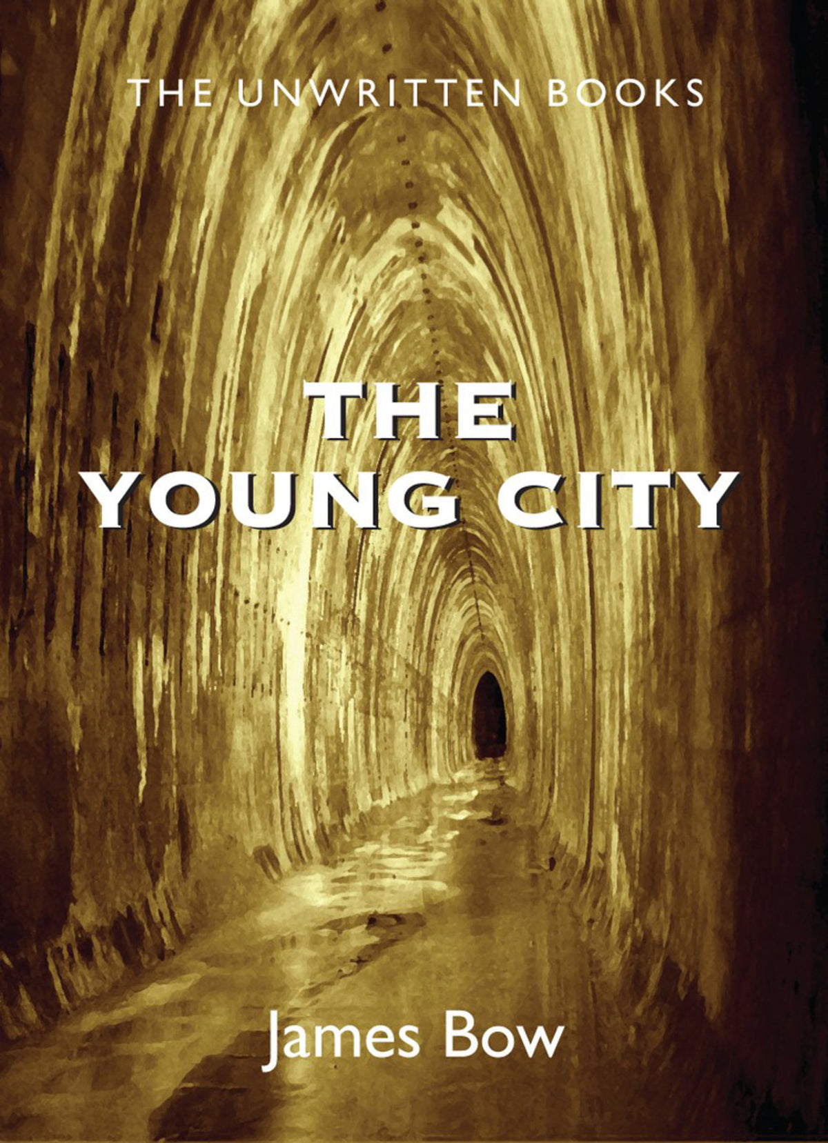 Cover image for The Young City ISBN 9781550028461