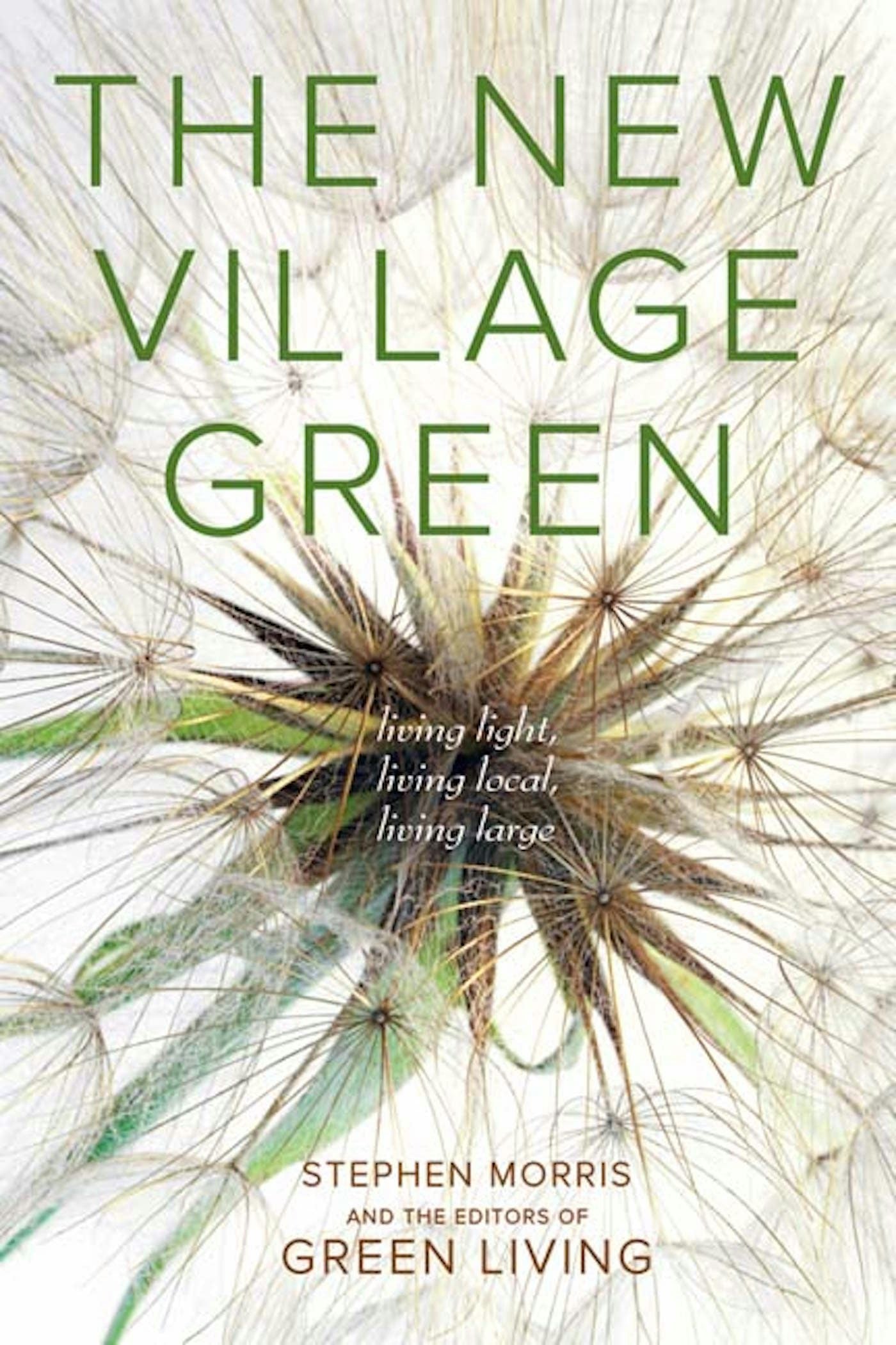 Book cover image for The New Village Green ISBN: 9781550923445