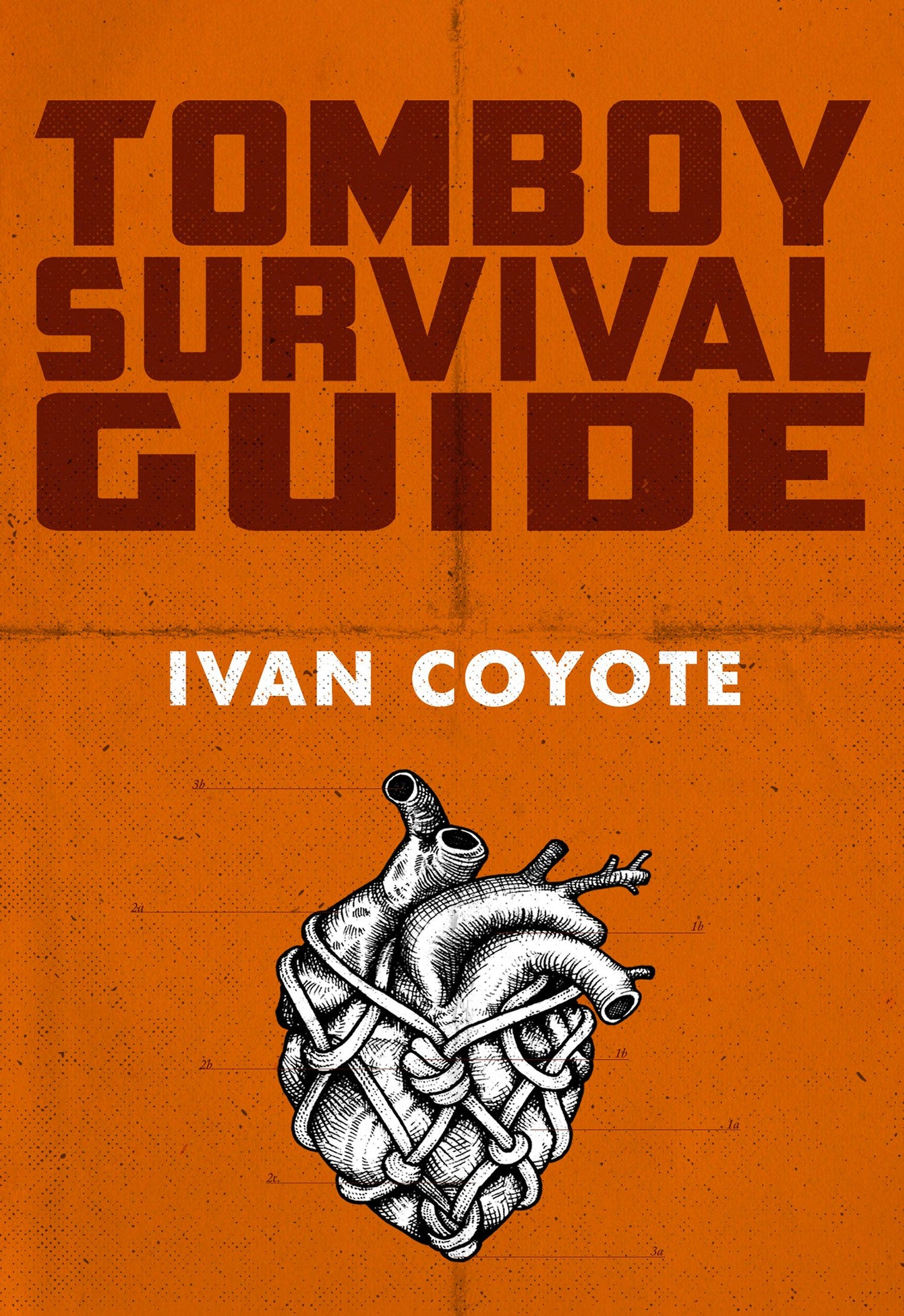 Book cover image for Tomboy Survival Guide ISBN: 9781551526577