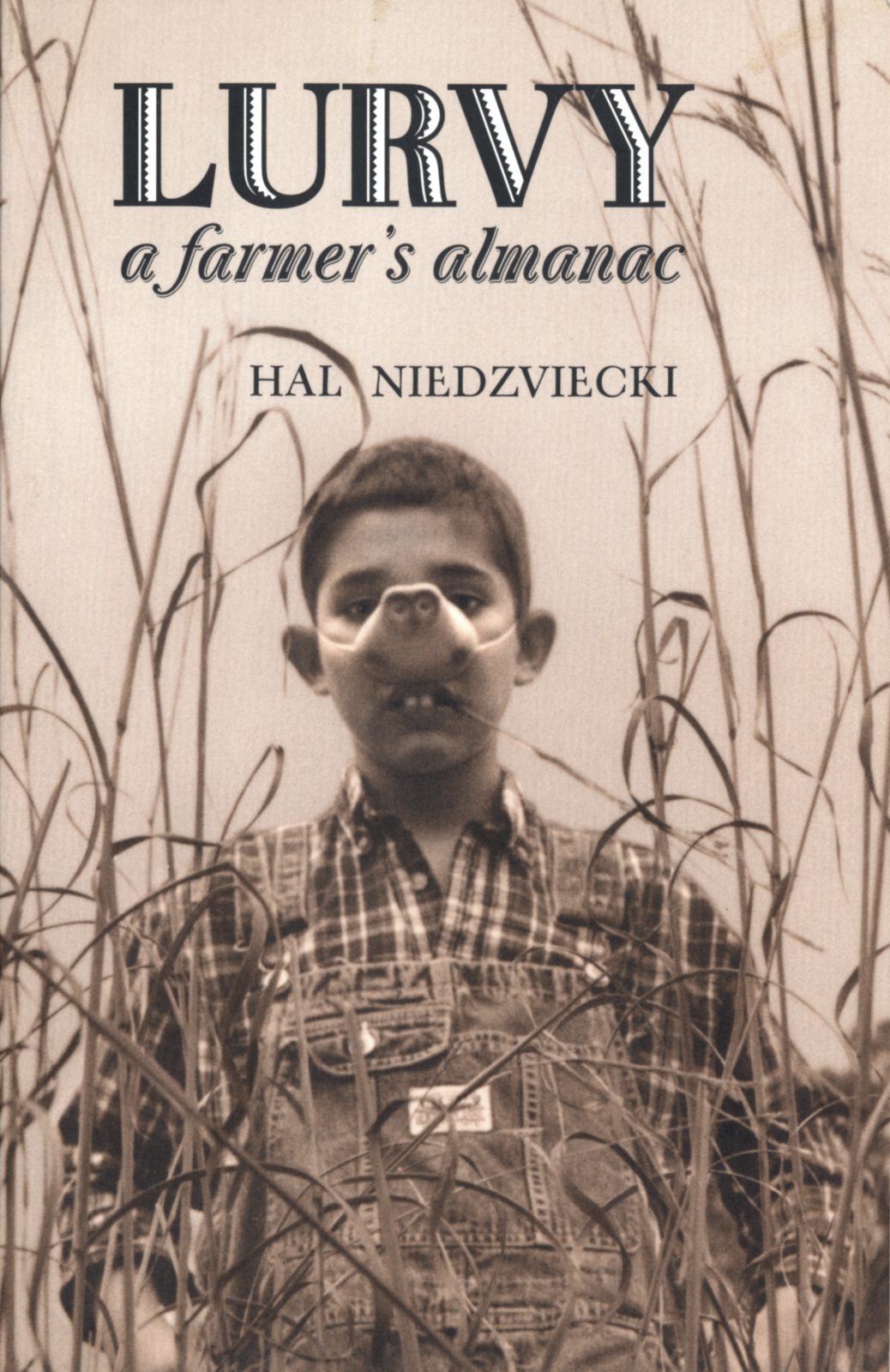 Book cover image for Lurvy ISBN: 9781552450802