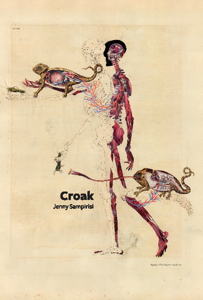 Book cover image for Croak ISBN: 9781552452509