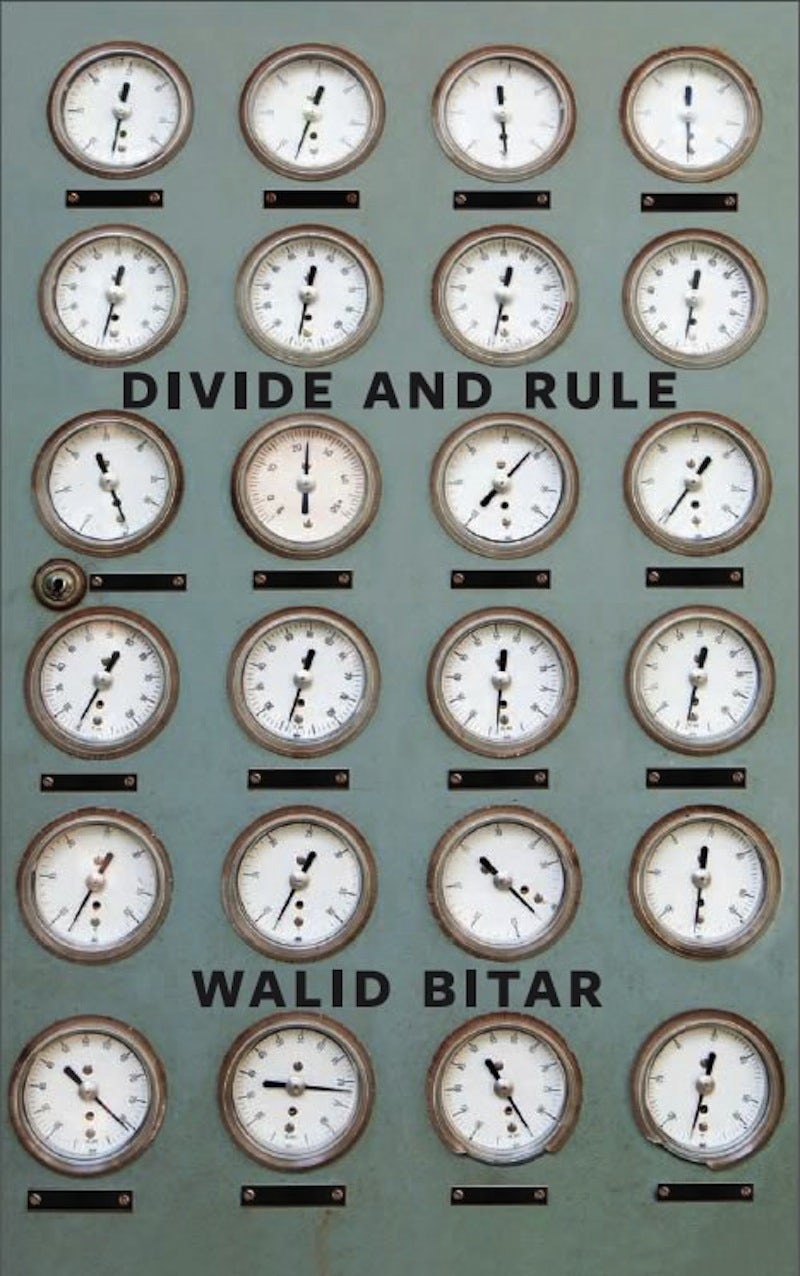 Book cover image for Divide and Rule ISBN: 9781552452547