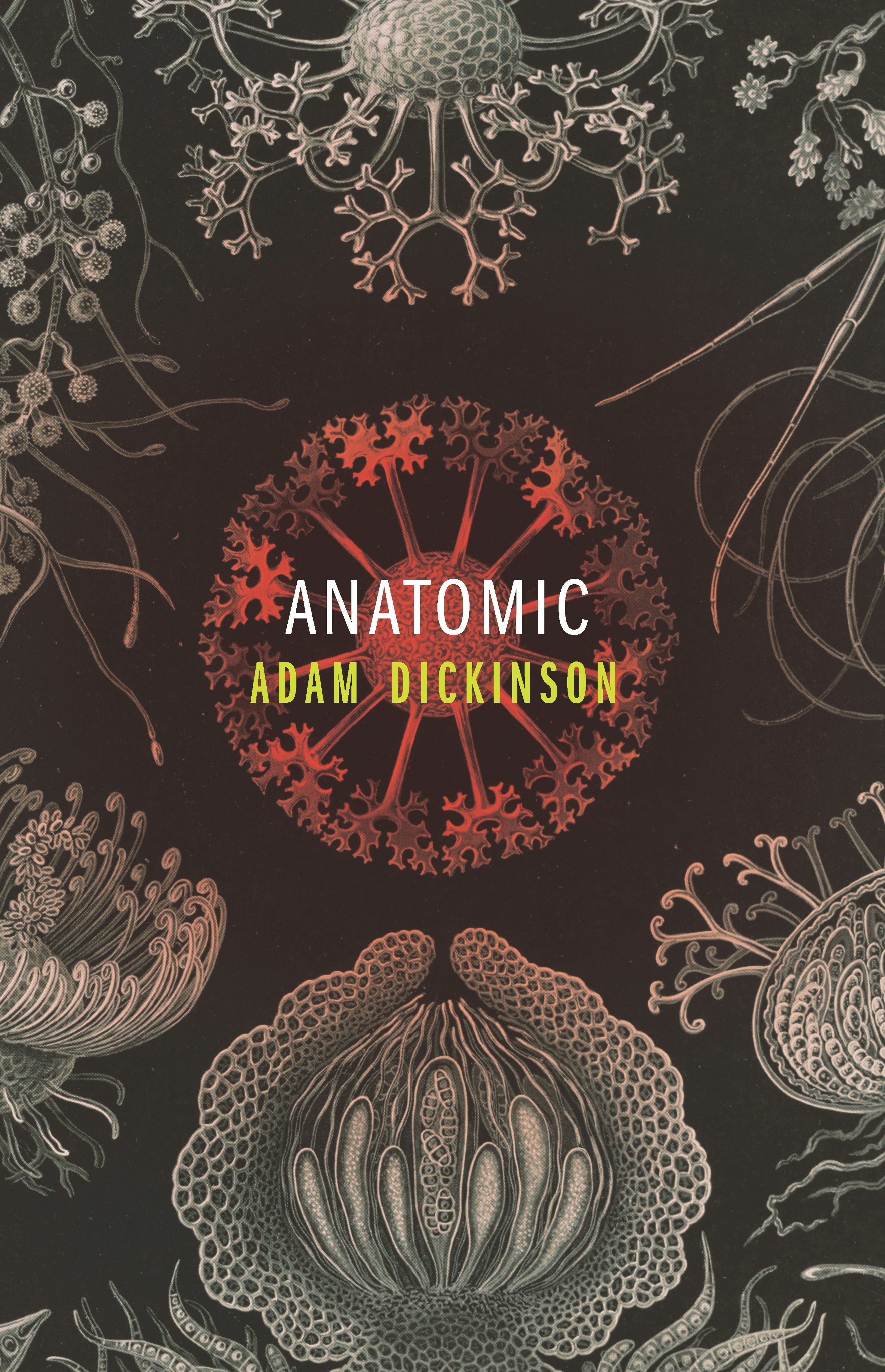 Book cover image for Anatomic ISBN: 9781552453643