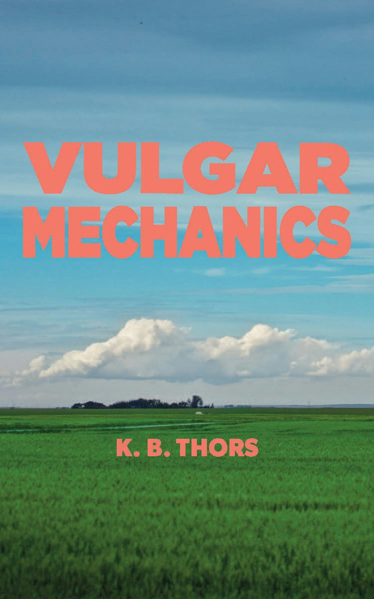 Book cover image for Vulgar Mechanics ISBN: 9781552453988