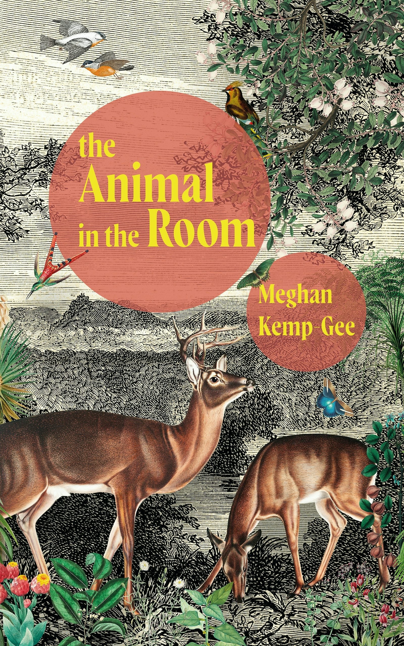 Book cover image for The Animal in the Room ISBN: 9781552454602