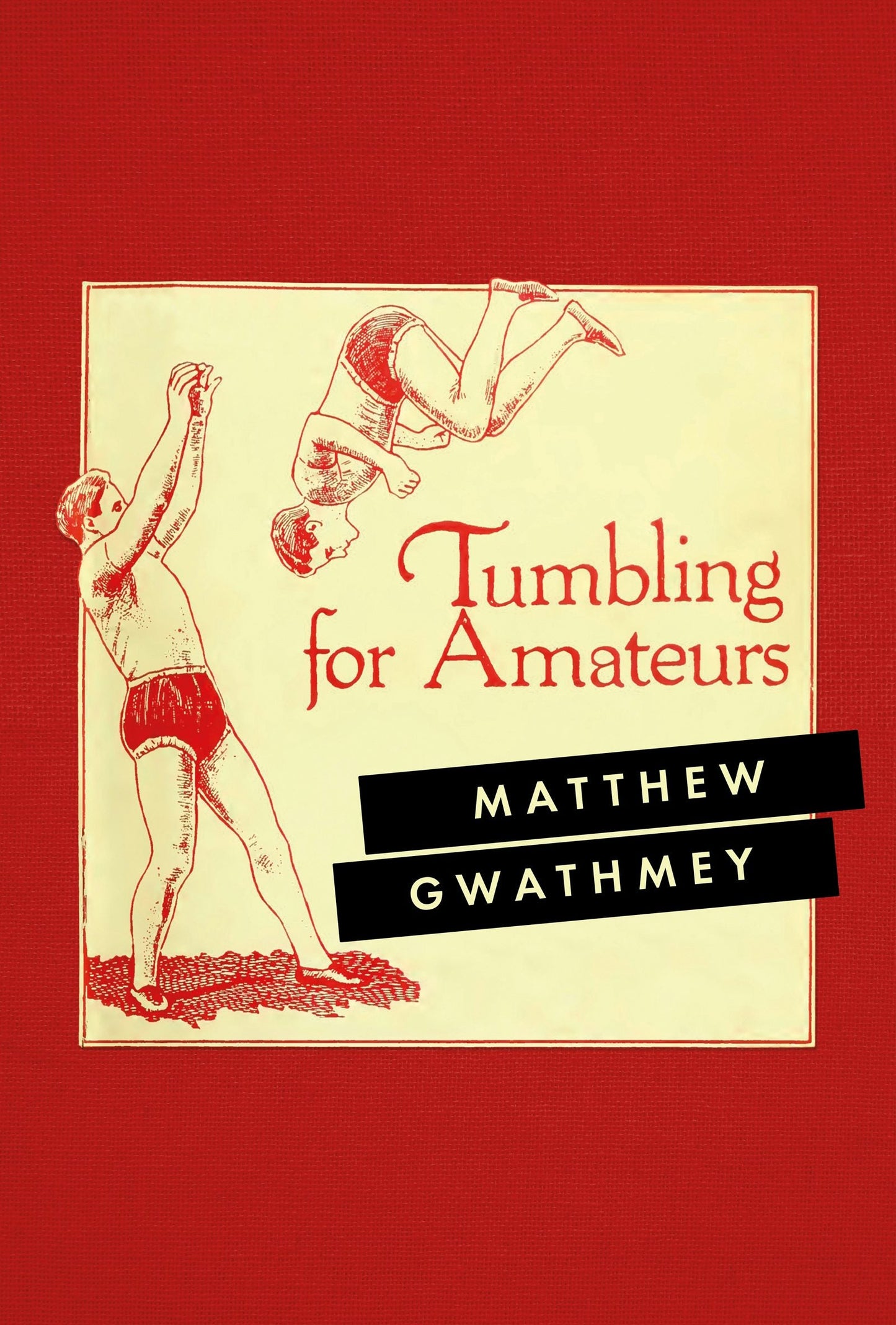 Book cover image for Tumbling for Amateurs ISBN: 9781552454695