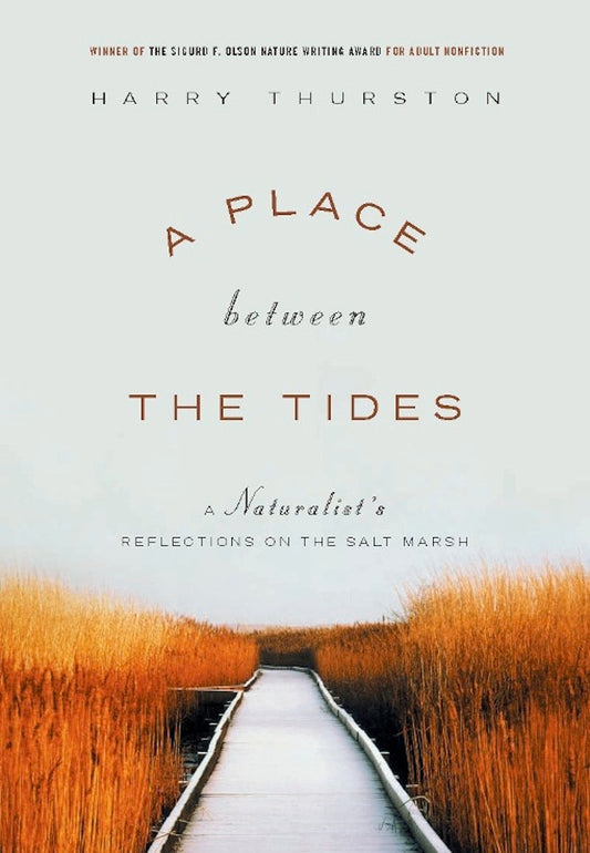 A Place Between the Tides