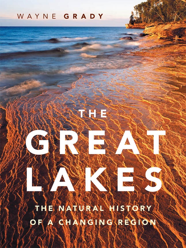 Book cover image for The Great Lakes ISBN: 9781553658931
