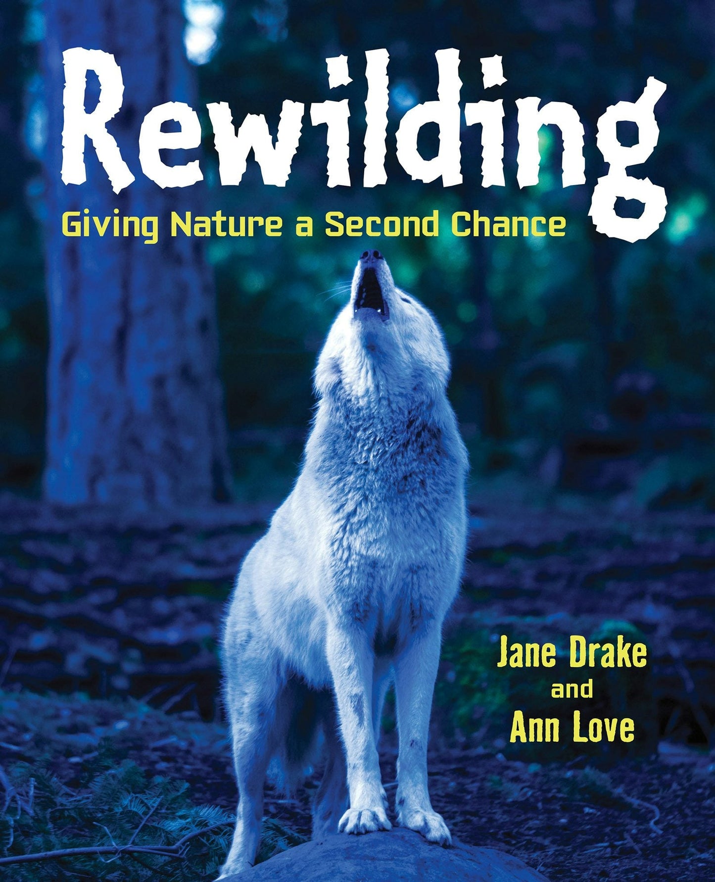 Book cover image for Rewilding ISBN: 9781554519620