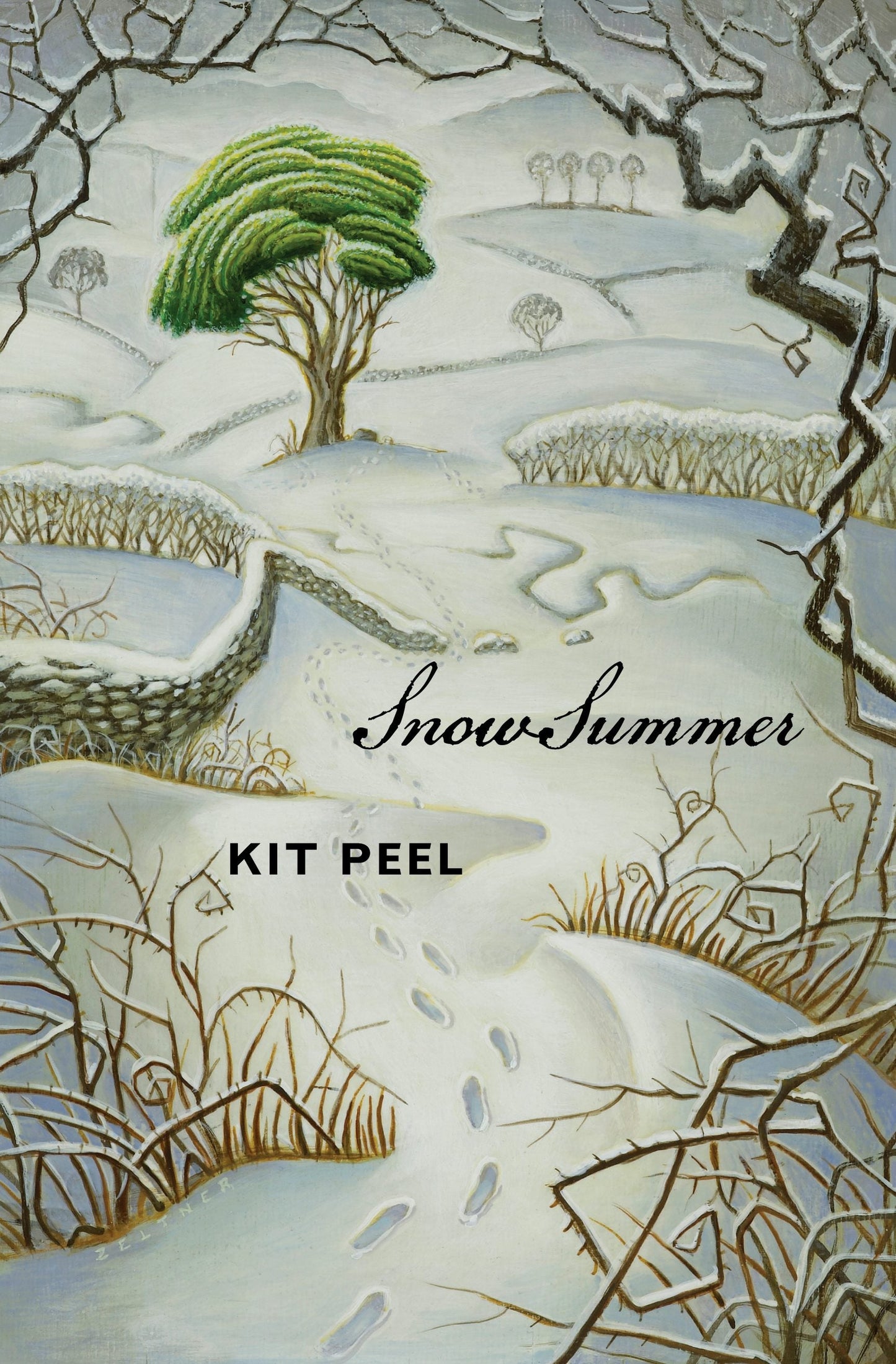 Book cover image for Snow Summer ISBN: 9781554983575