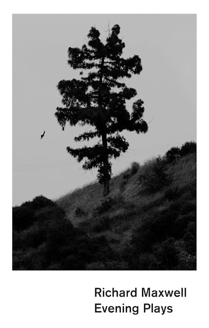 Book cover image for Evening Plays ISBN: 9781559365819