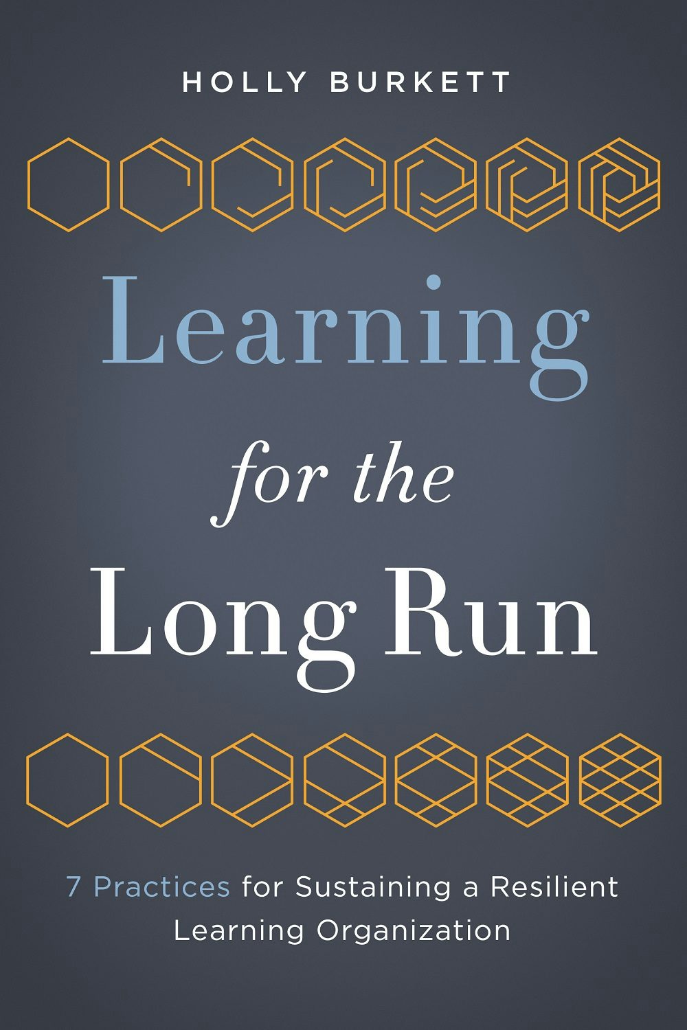 Book cover image for Learning for the Long Run ISBN: 9781562869946