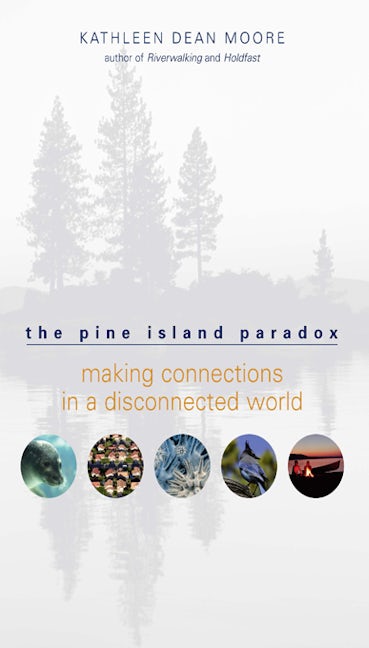 Book cover image for The Pine Island Paradox ISBN: 9781571312815