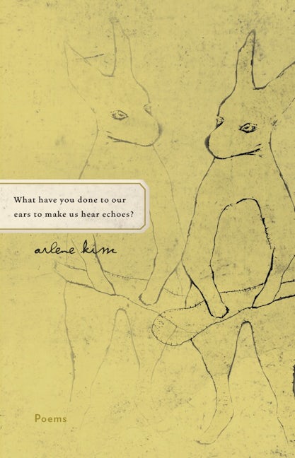 Book cover image for What have you done to our ears to make us hear echoes? ISBN: 9781571314406