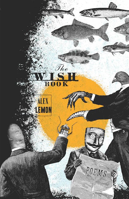 Book cover image for The Wish Book ISBN: 9781571314505