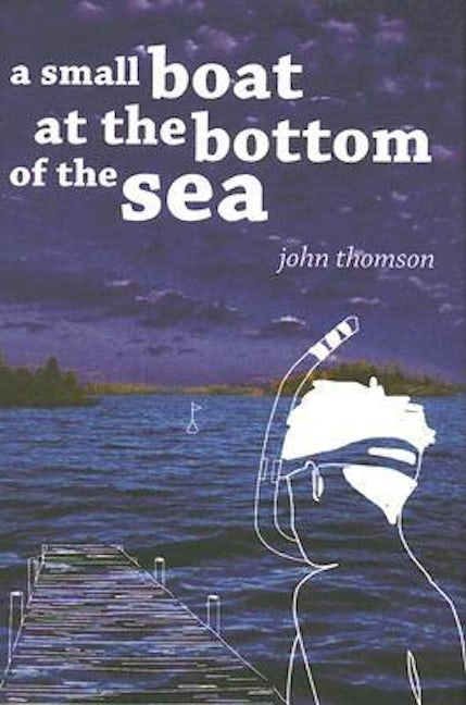 Book cover image for A Small Boat at the Bottom of the Sea ISBN: 9781571316578