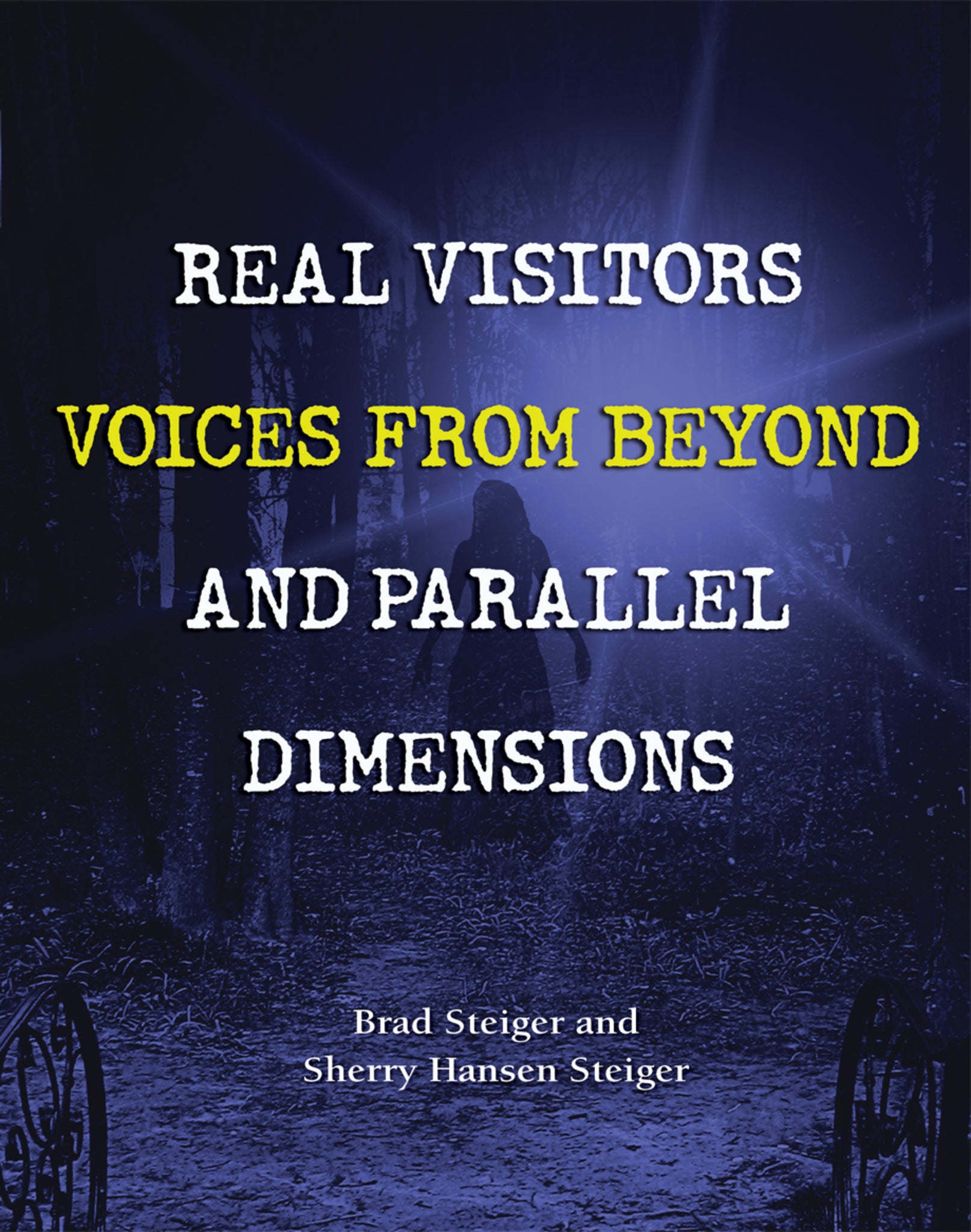 Cover image for Real Visitors, Voices from Beyond, and Parallel Dimensions ISBN 9781578595419