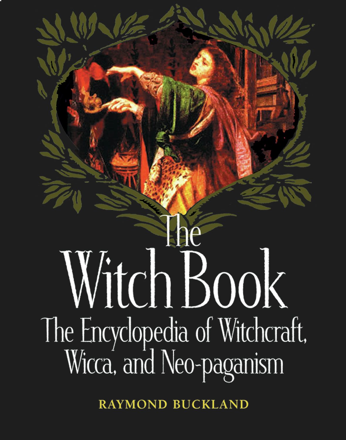 Book cover image for The Witch Book ISBN: 9781578597918