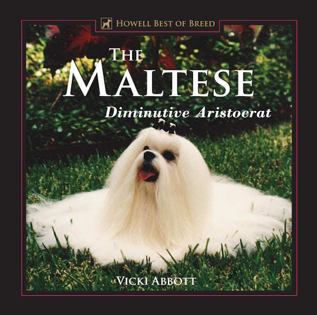Book cover image for The Maltese ISBN: 9781582451602