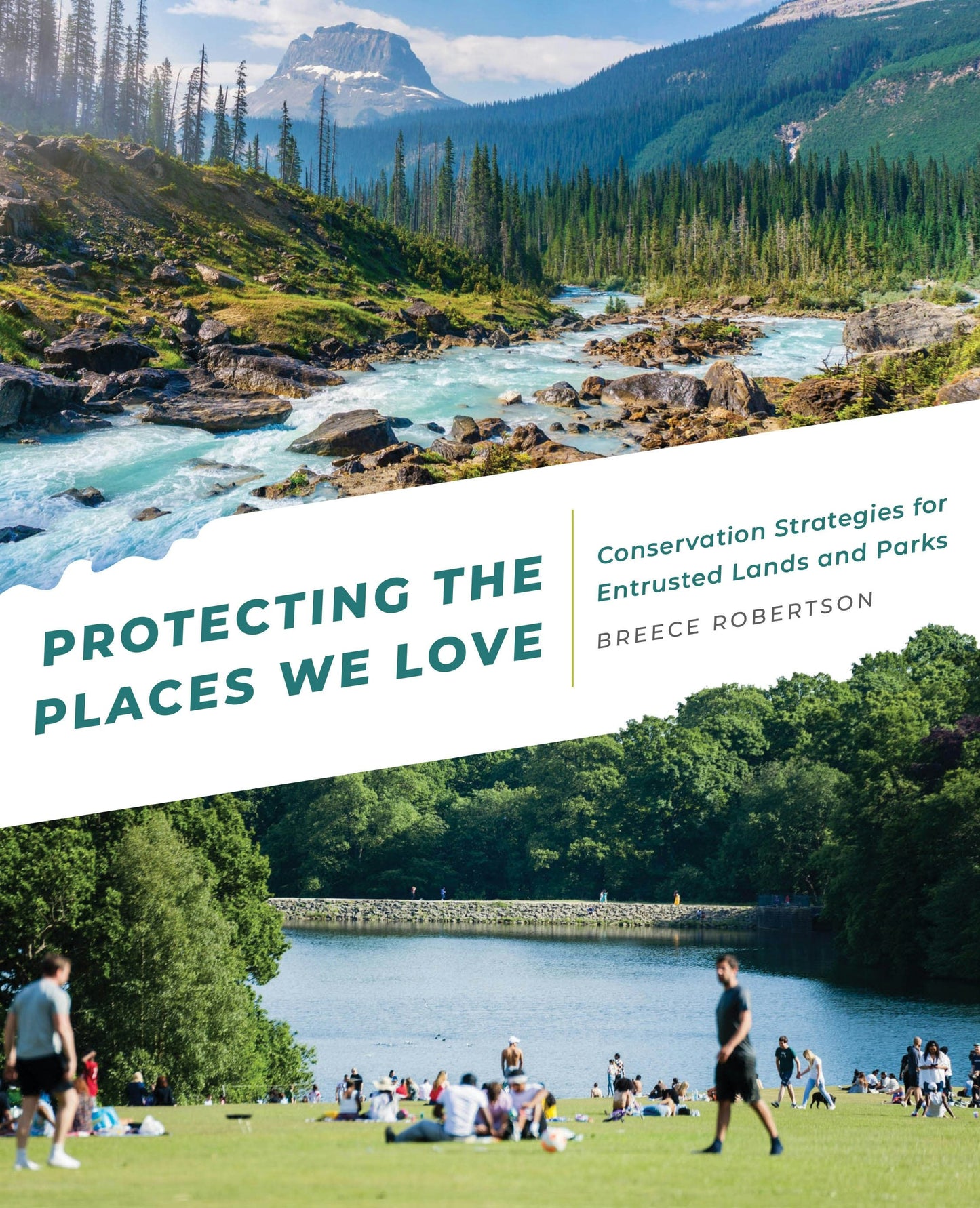 Book cover image for Protecting the Places We Love ISBN: 9781589486164