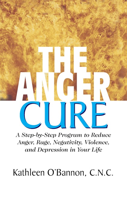 Book cover image for The Anger Cure ISBN: 9781591201991