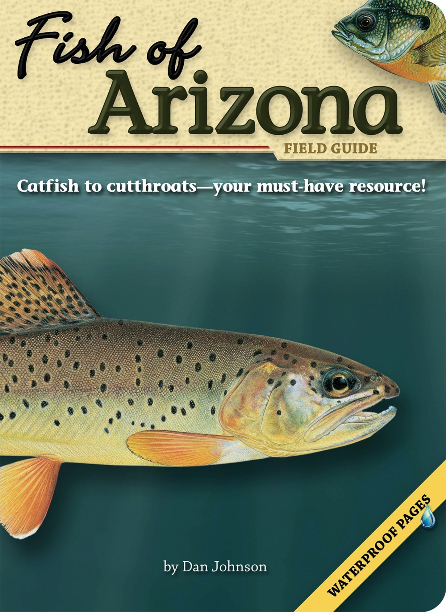 Book cover image for Fish of Arizona Field Guide ISBN: 9781591930815