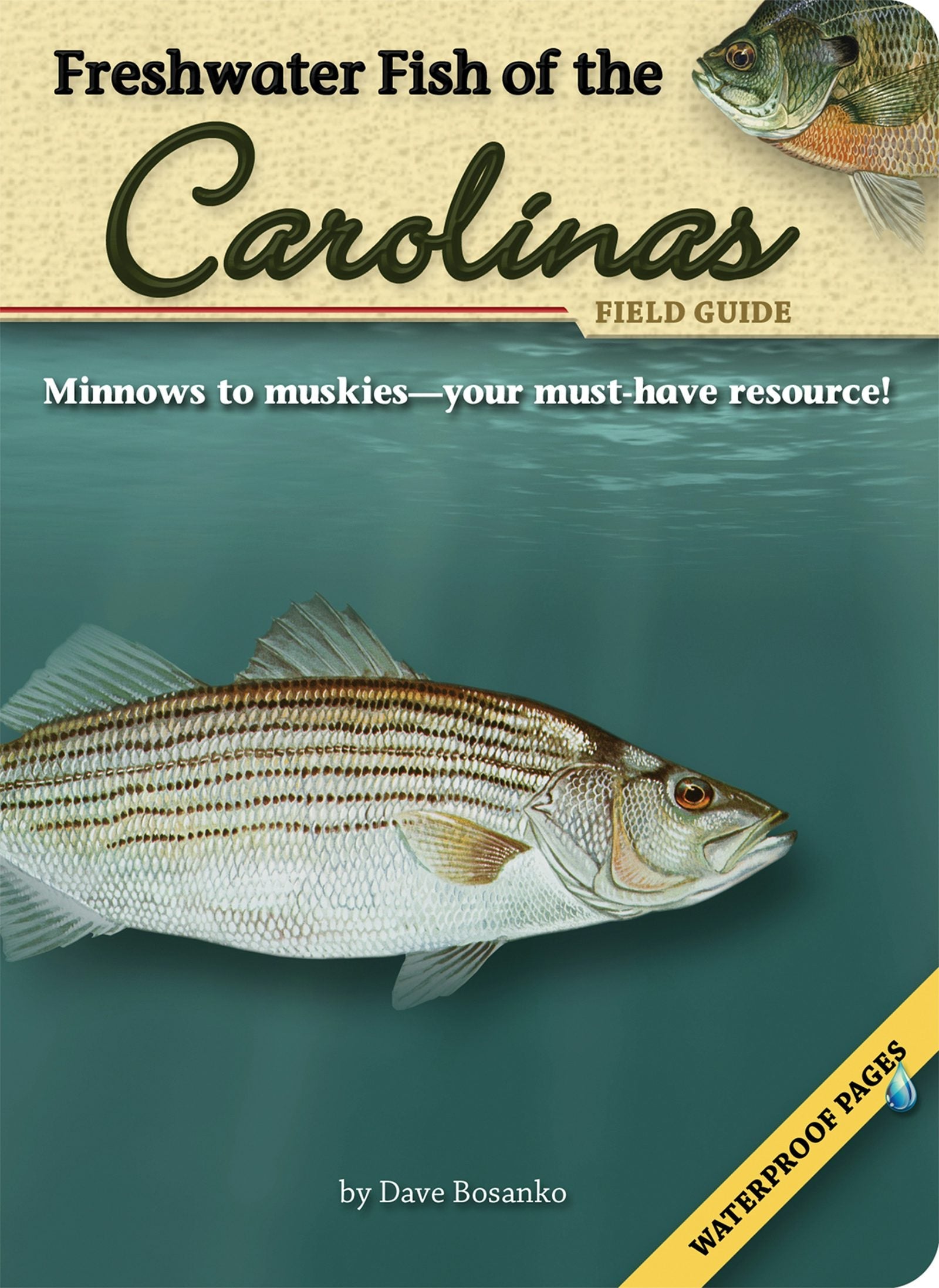 Book cover image for Freshwater Fish of the Carolinas Field Guide ISBN: 9781591932178