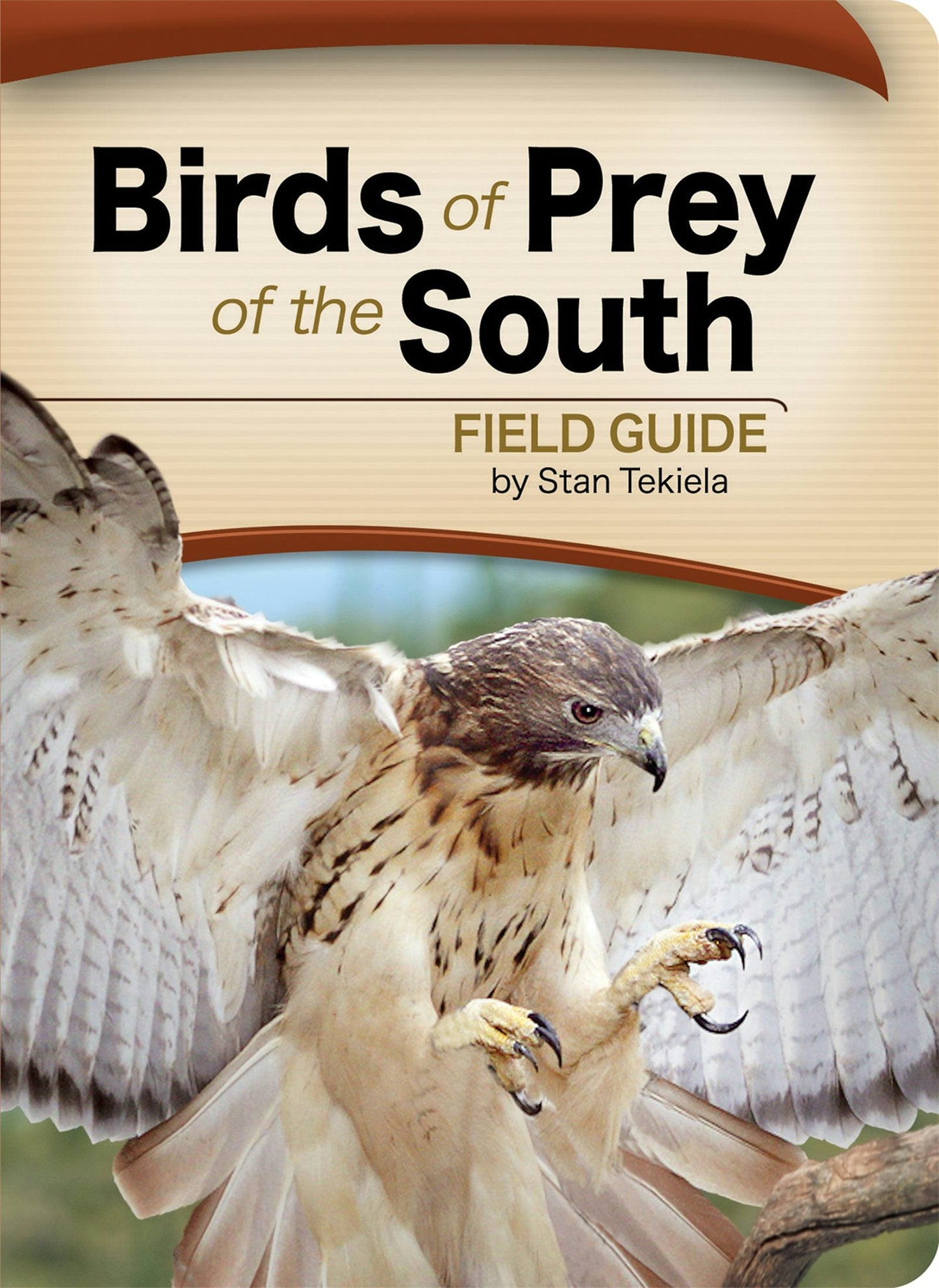 Book cover image for Birds of Prey of the South Field Guide ISBN: 9781591933816