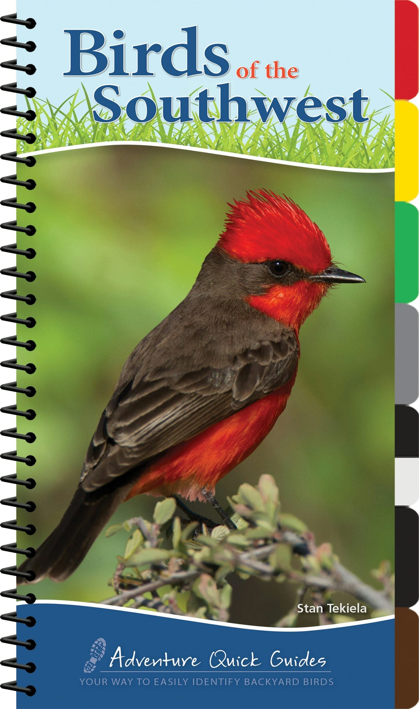 Book cover image for Birds of the Southwest ISBN: 9781591934103